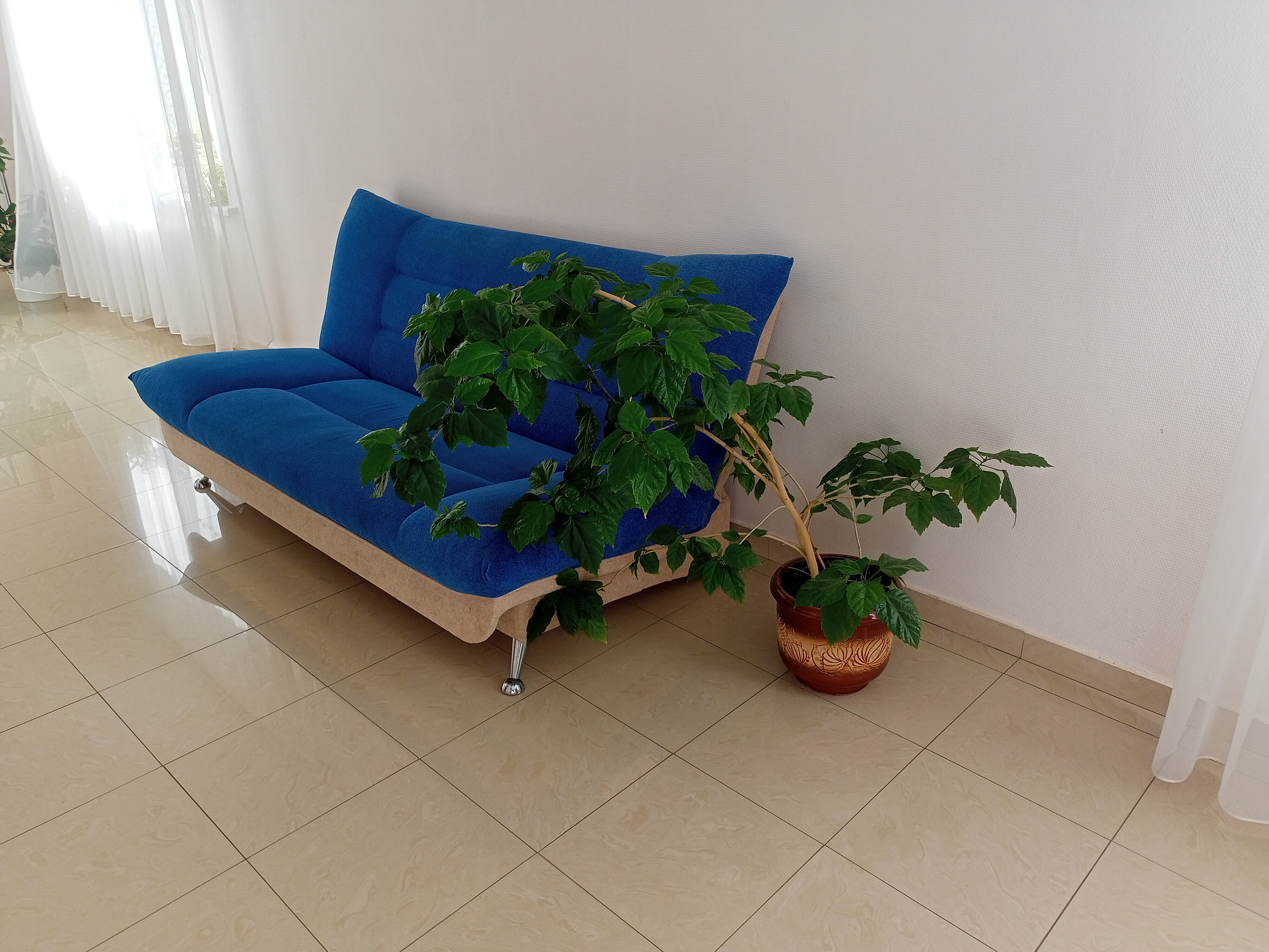 Фото Вестник