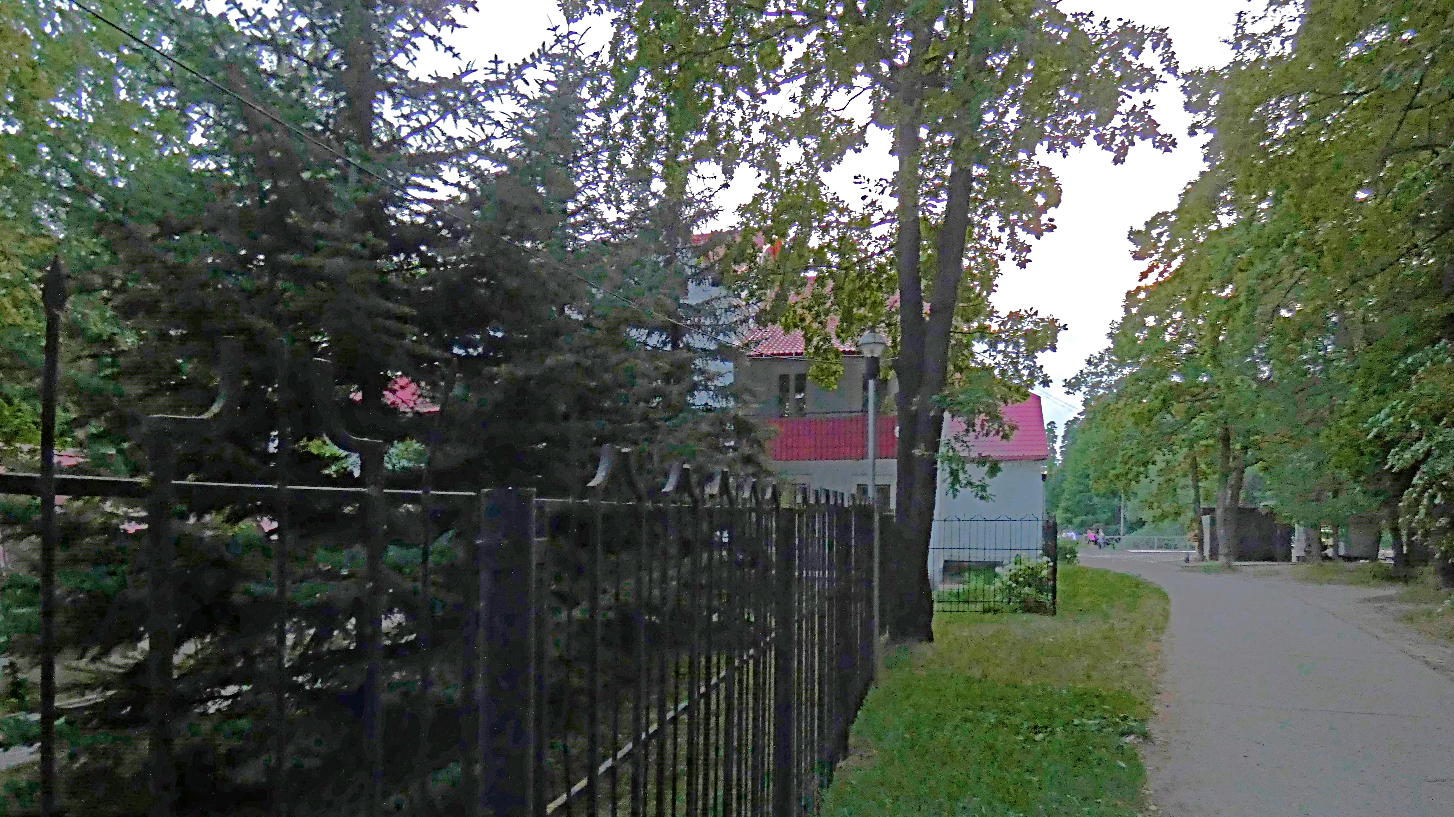 Фото Лесная