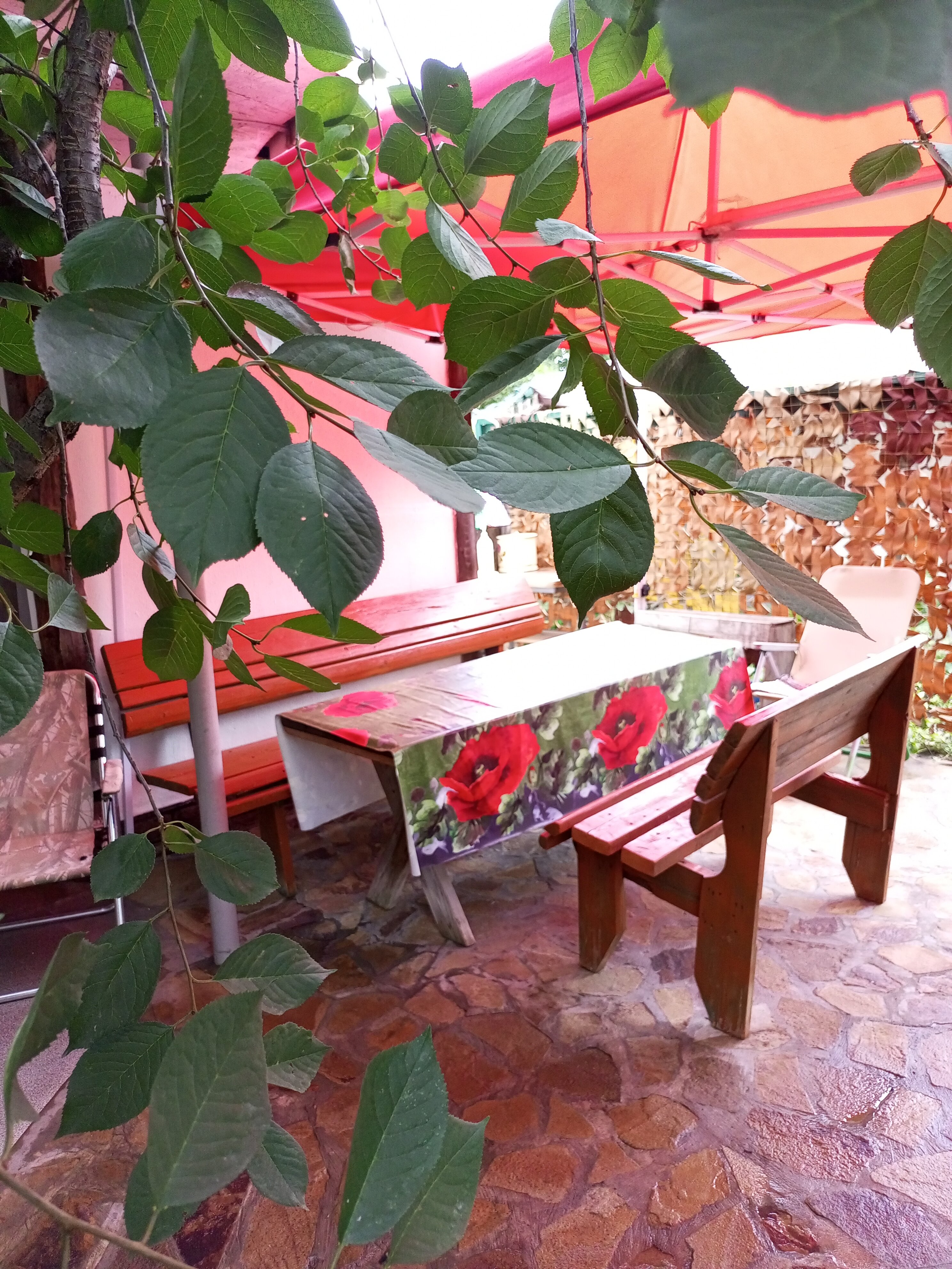 Фото Добродом