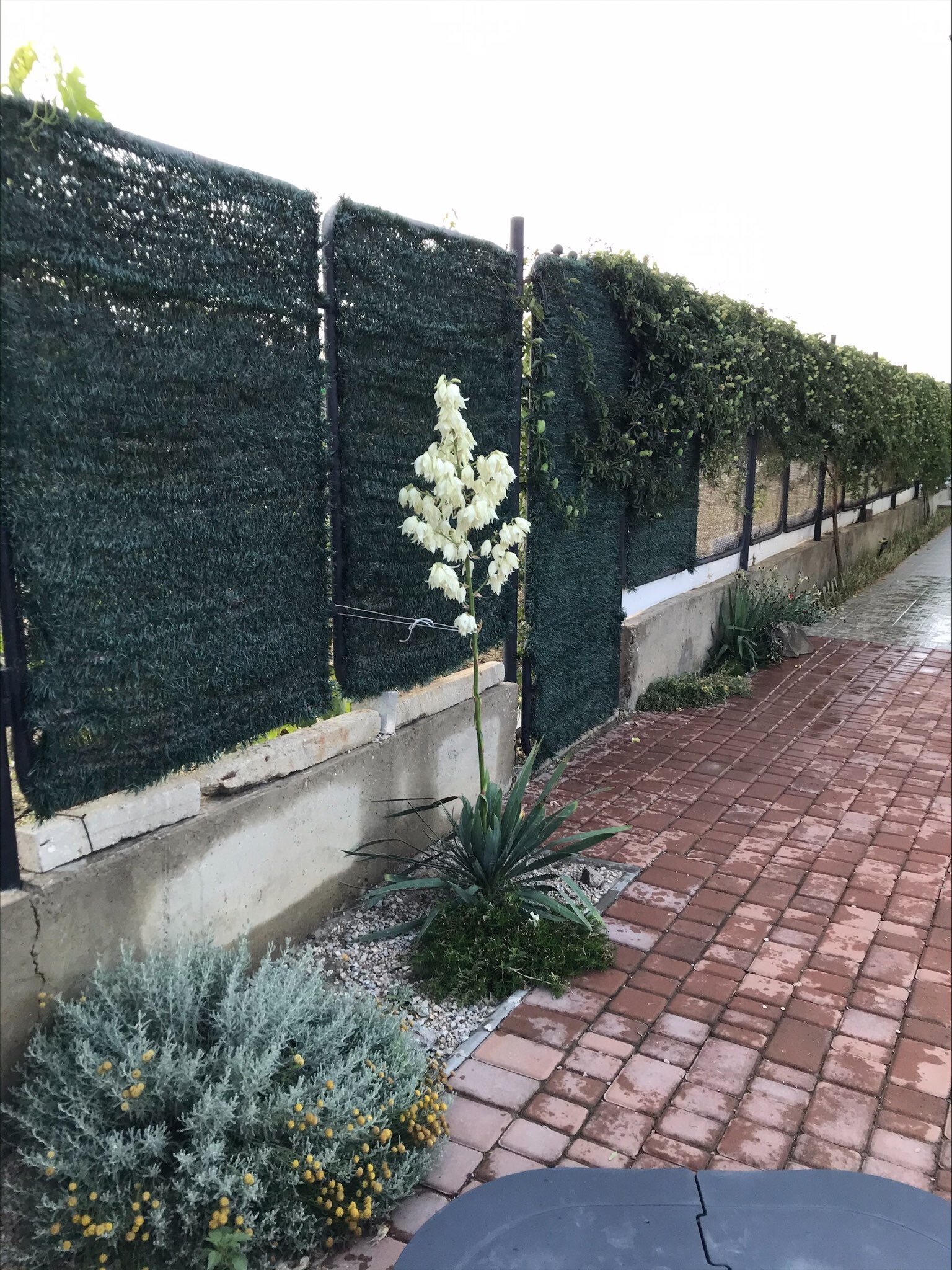 Фото Вилла Грин