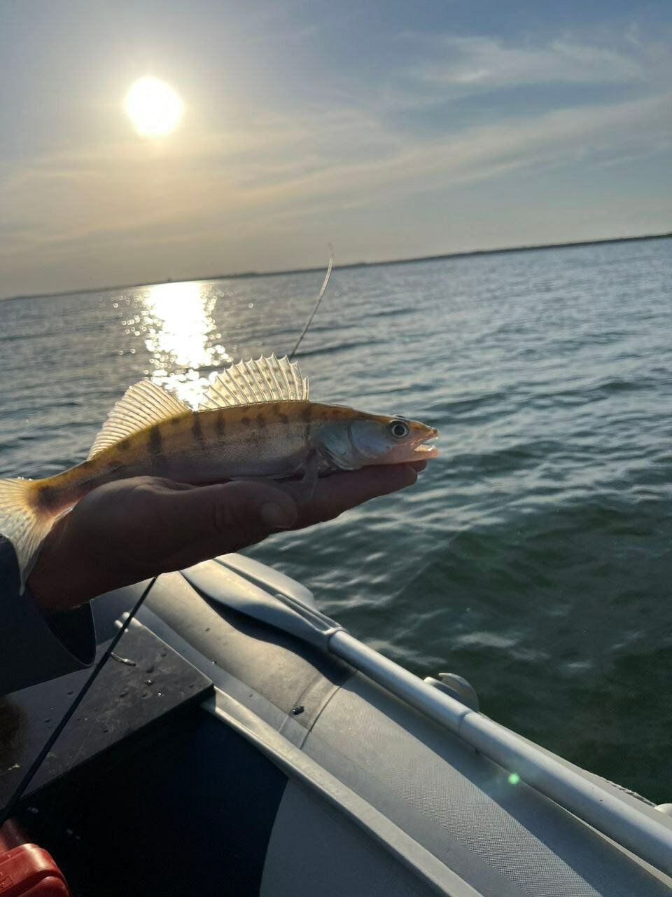 Фото Фазенда