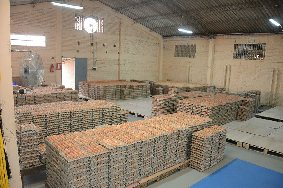 Poultry farm Huevocruz Srl, Santa Cruz de la Sierra, photo