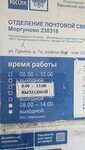 Отделение почтовой связи Моргуново 238318 (posyolok Morgunovo, ulitsa Guryeva, 7А), post office