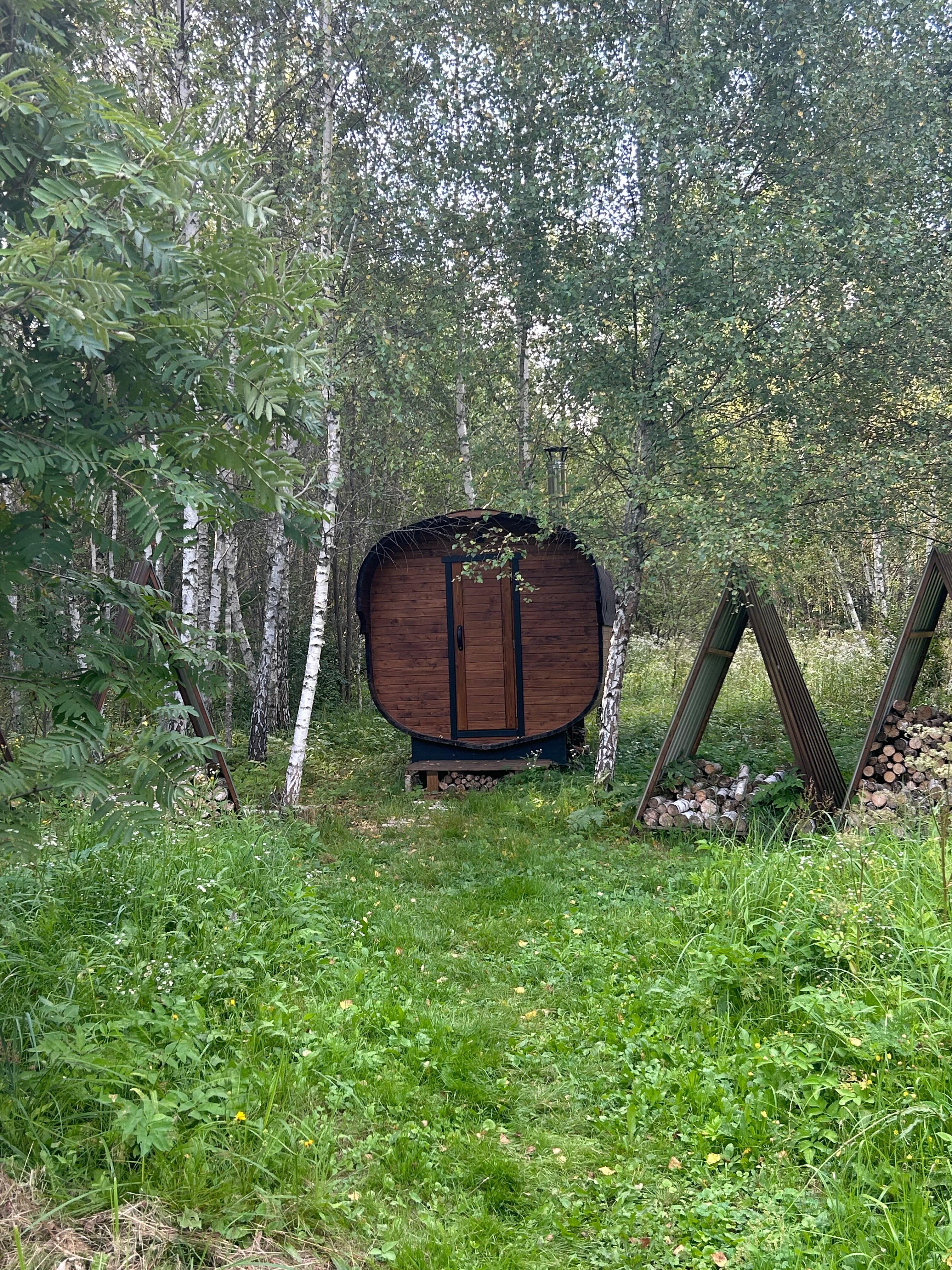 Фото Два зайца