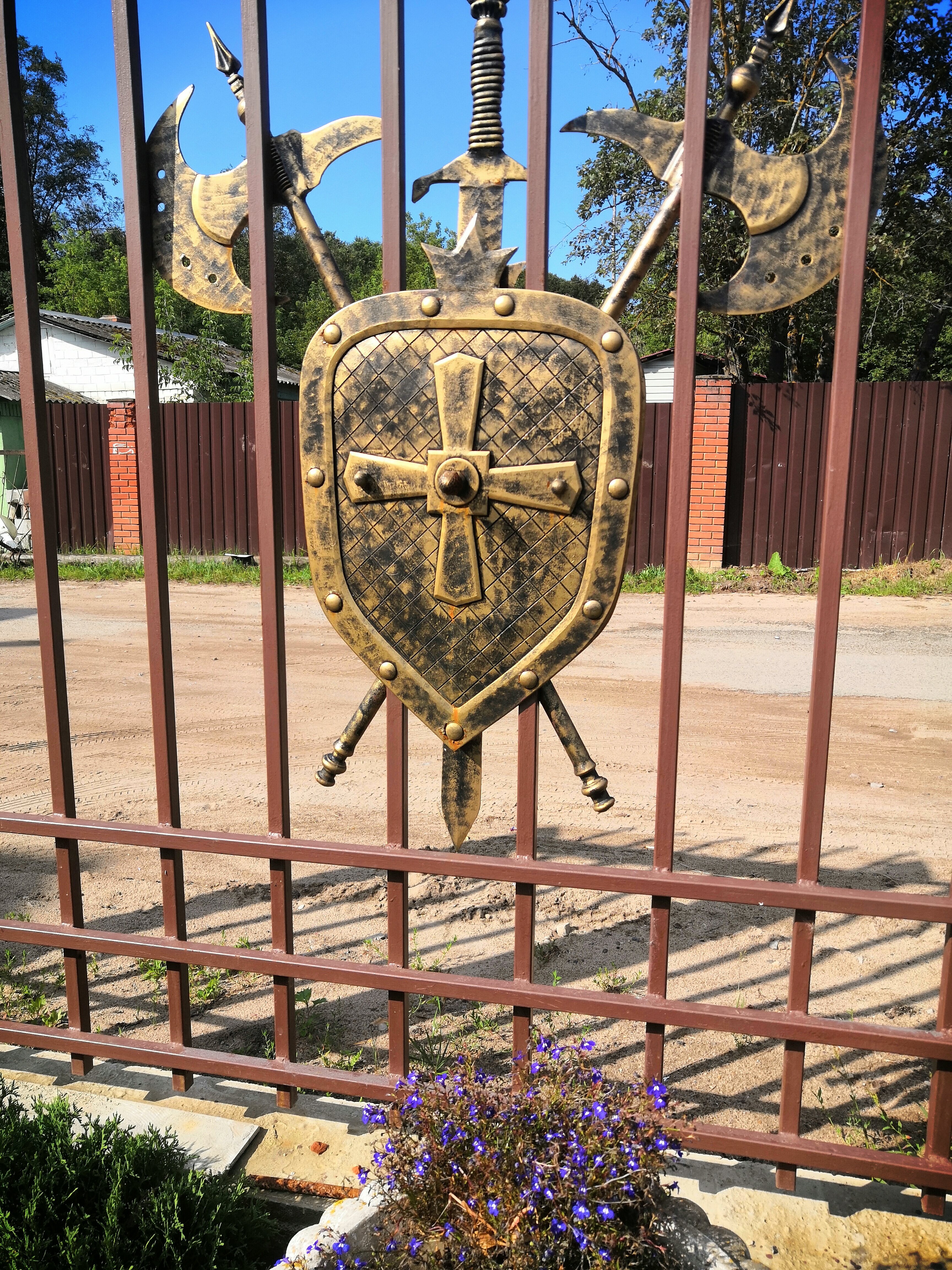 Фото Калина