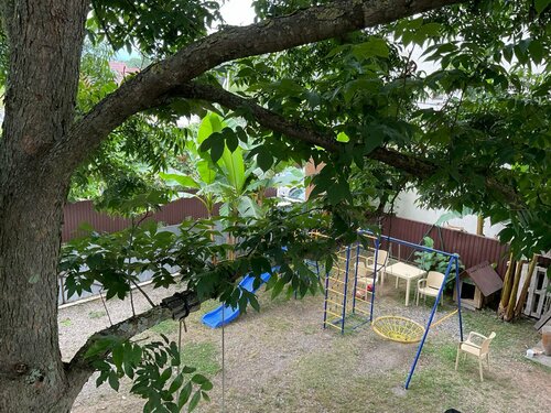 Гостевой дом Пекан в Пицунде