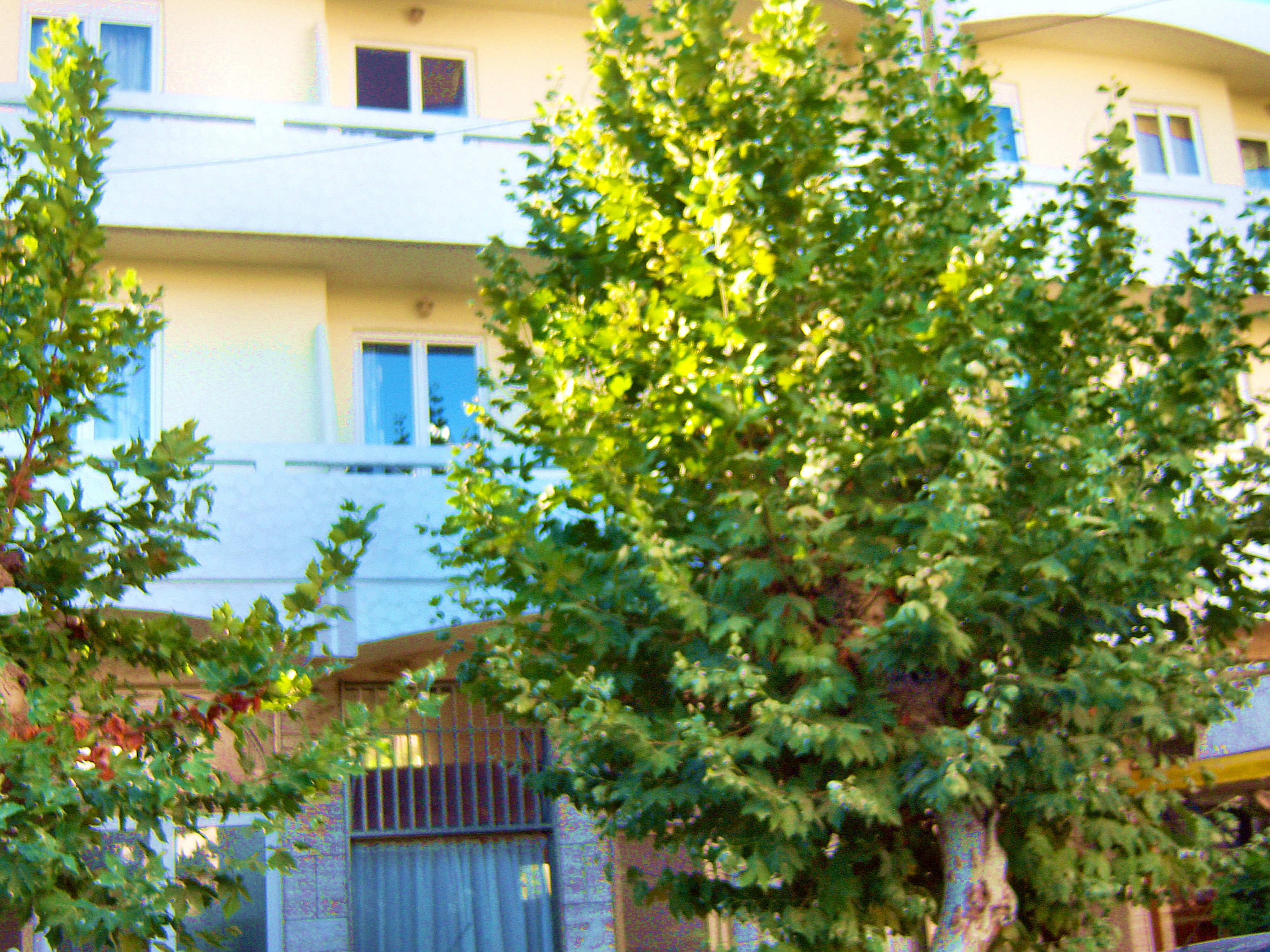 Фото Fantasia Hotel Apartments