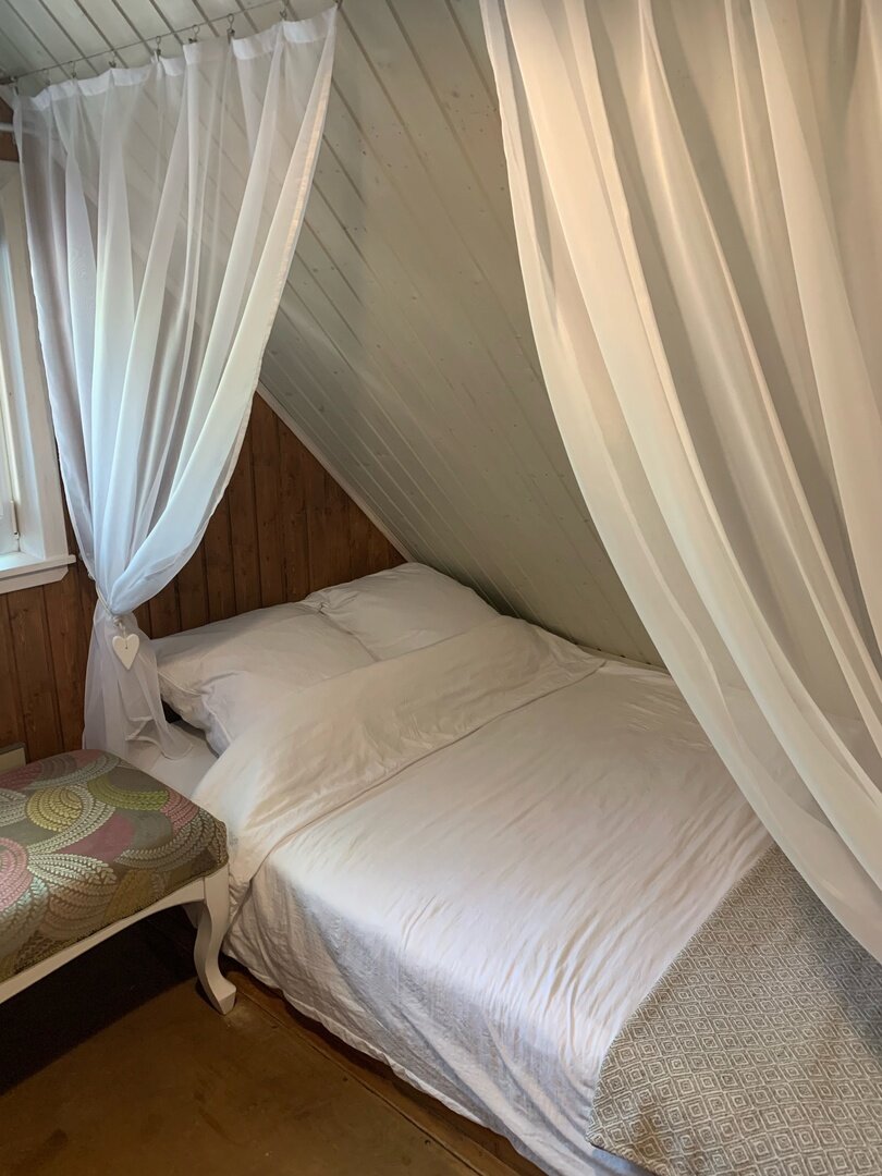 Фото Вереск