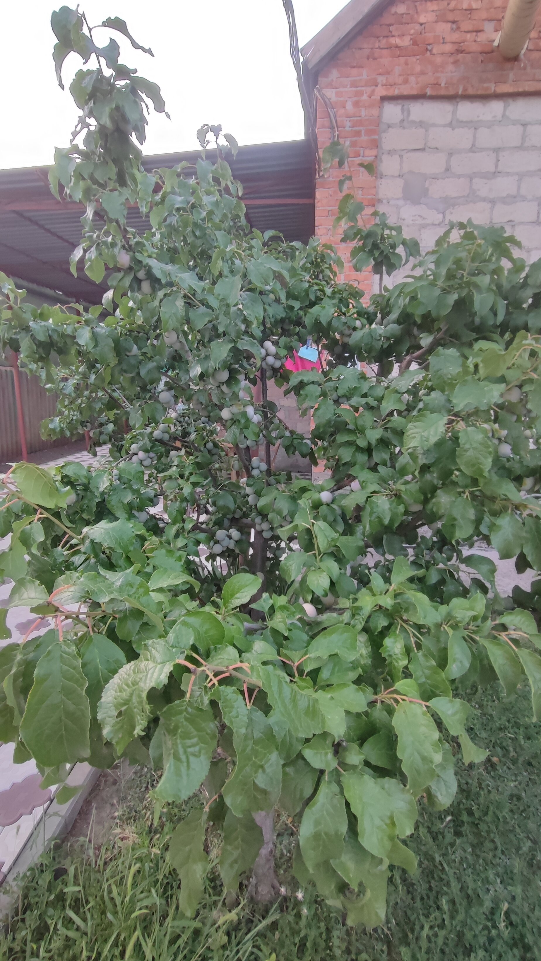 Фото Дом на Куйбышева