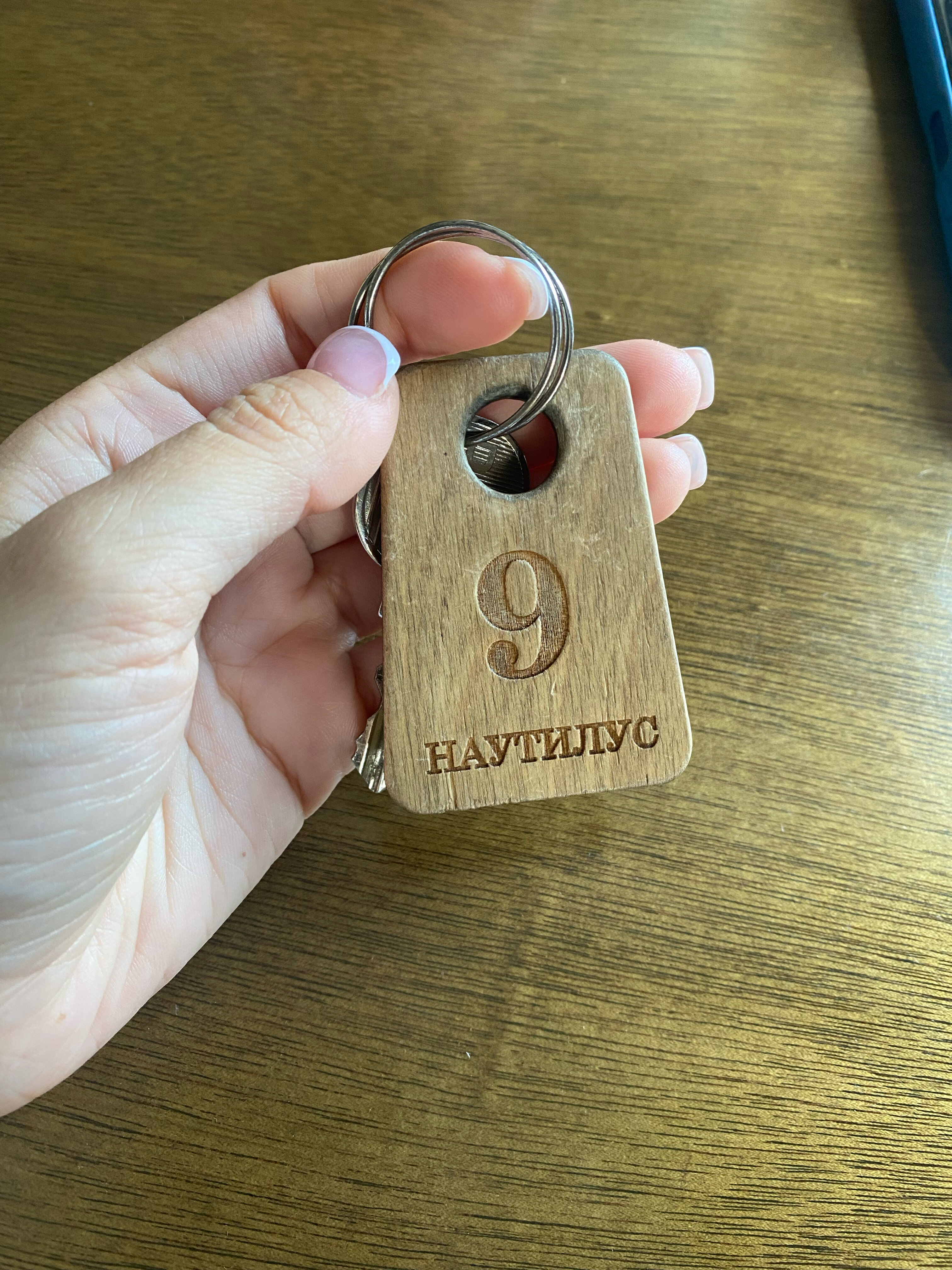 Фото Наутилус