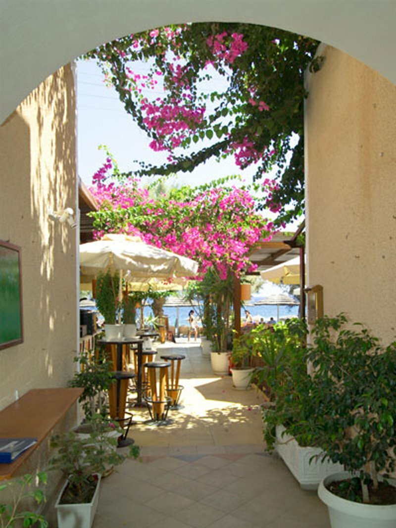 Фото Nostos Beach
