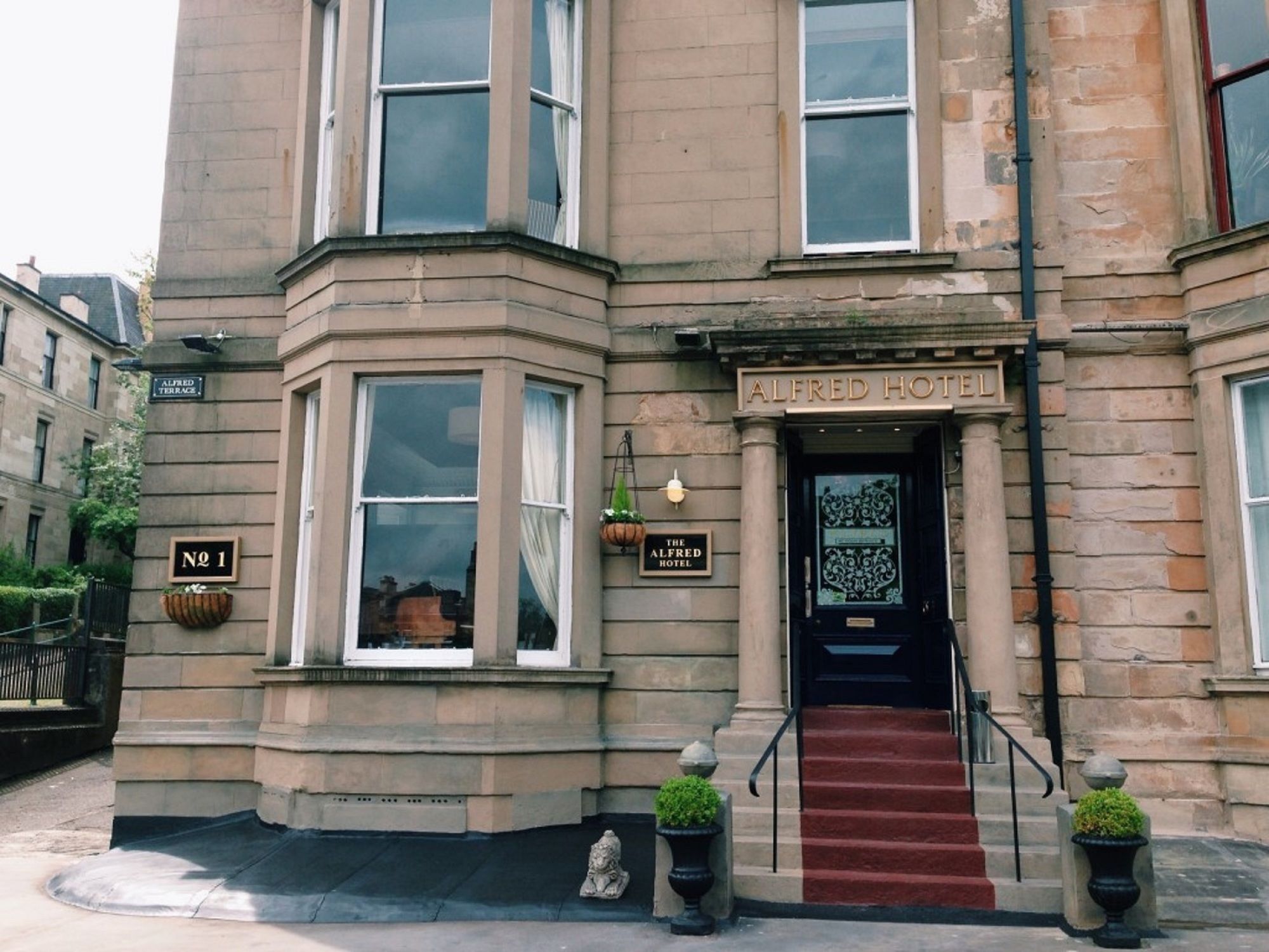 Фото The Alfred