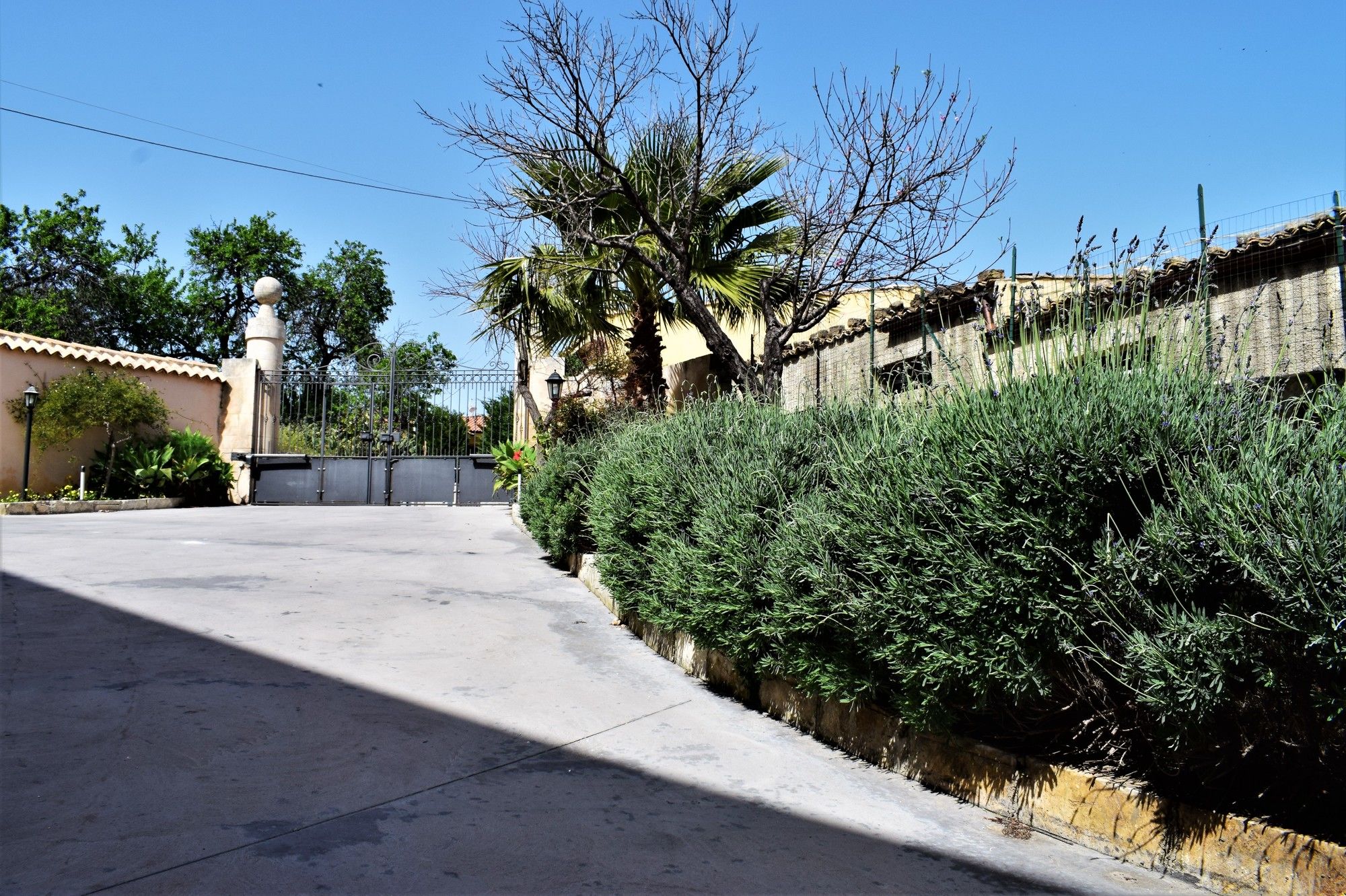 Фото Villa Rosaria