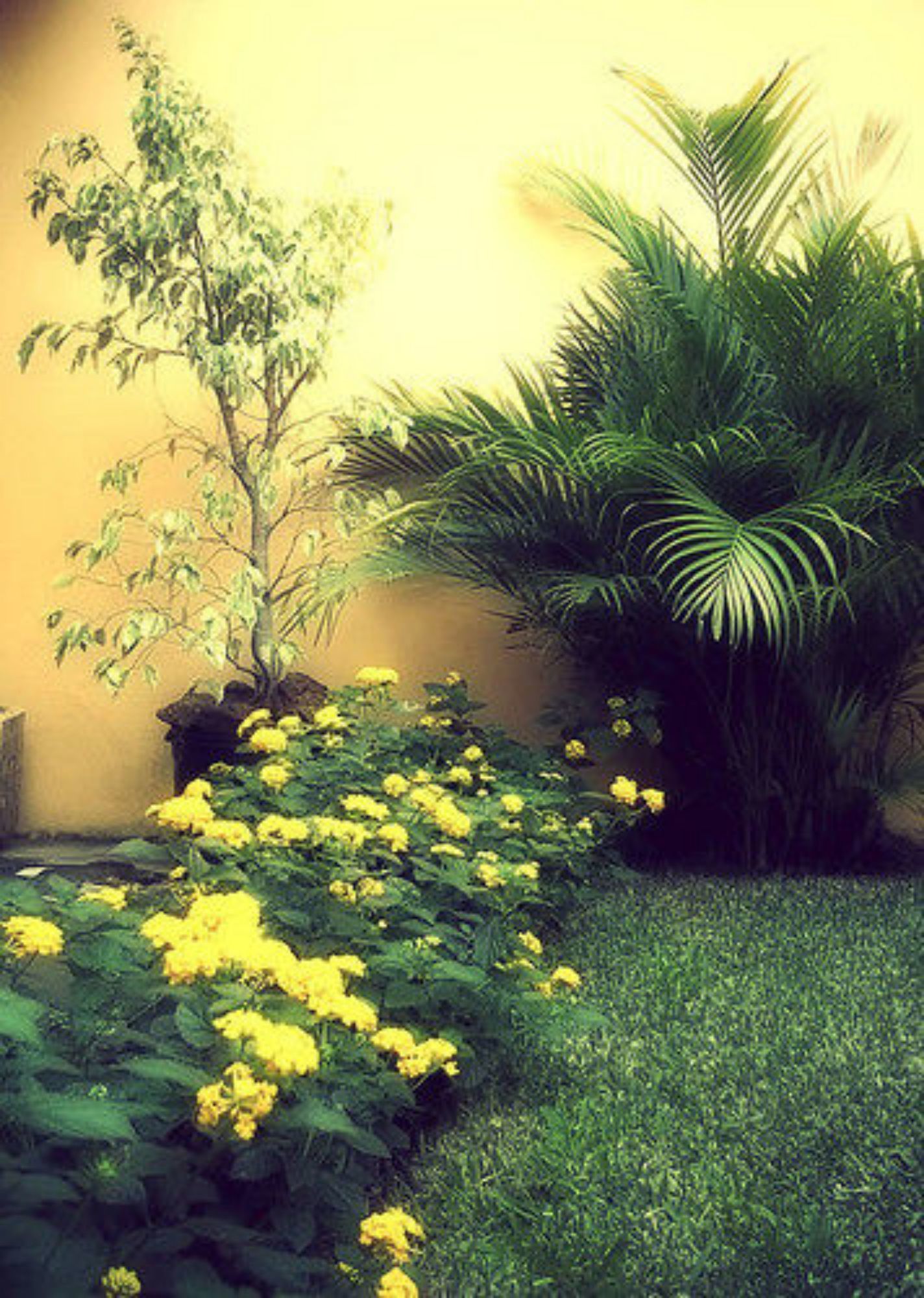 Фото Bed & Breakfast the Rock