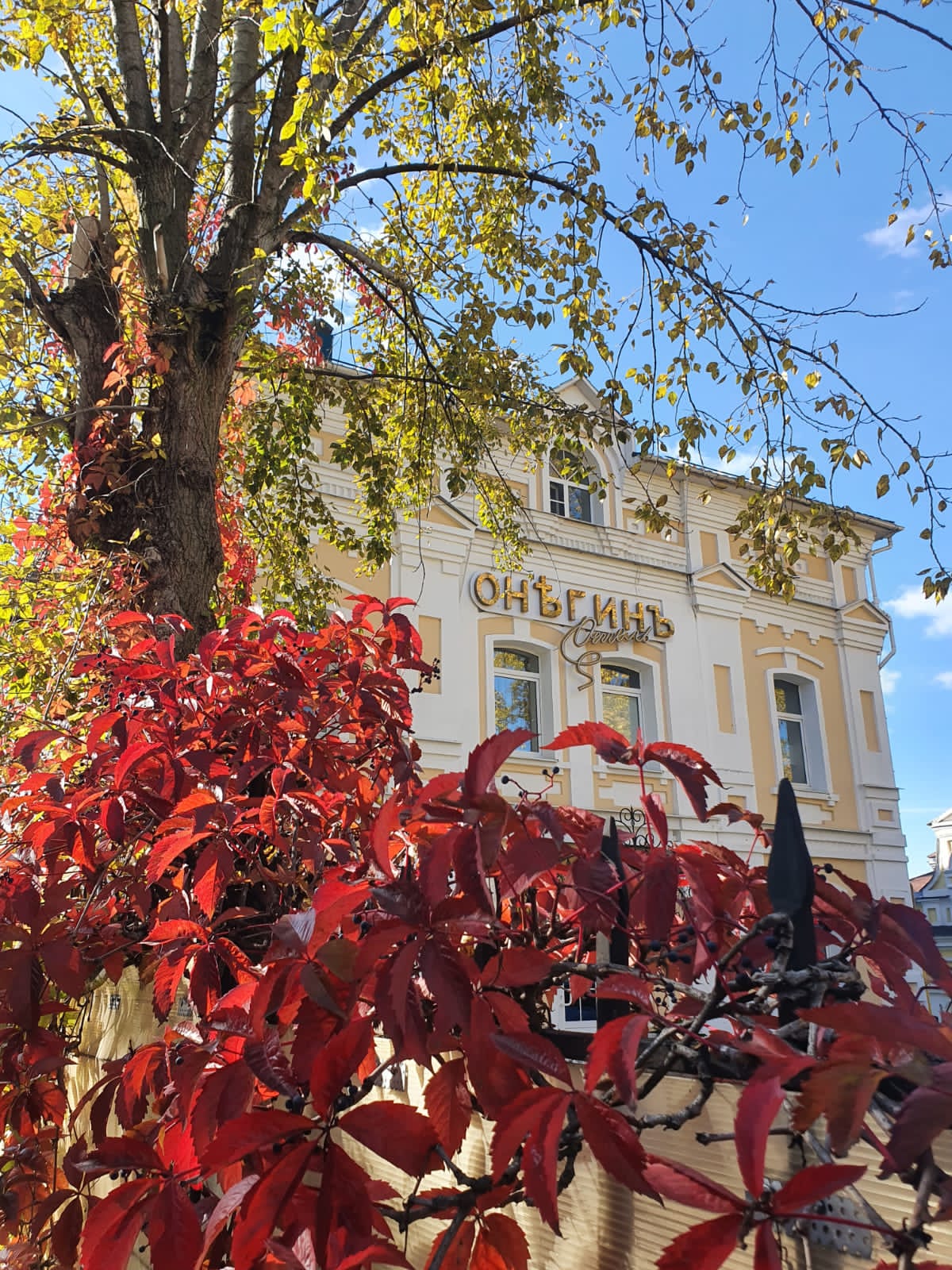 Фото Онегин