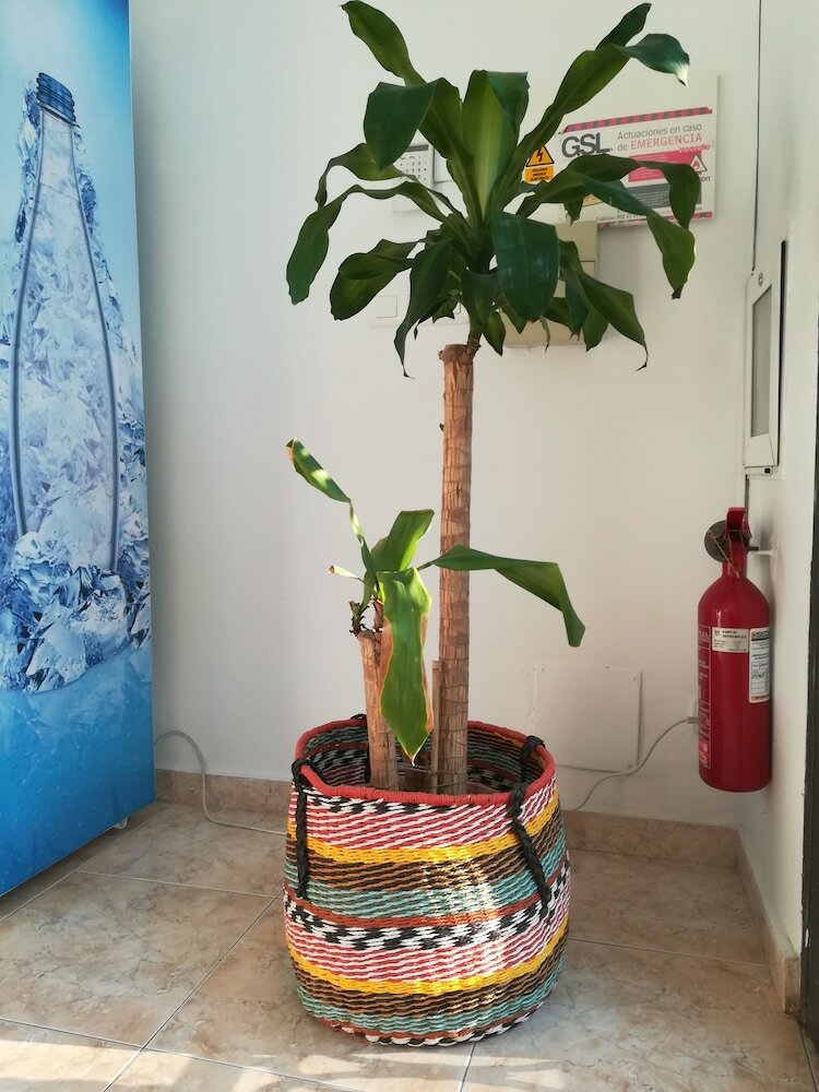 Фото La Moraga De Poniente Málaga Hostel