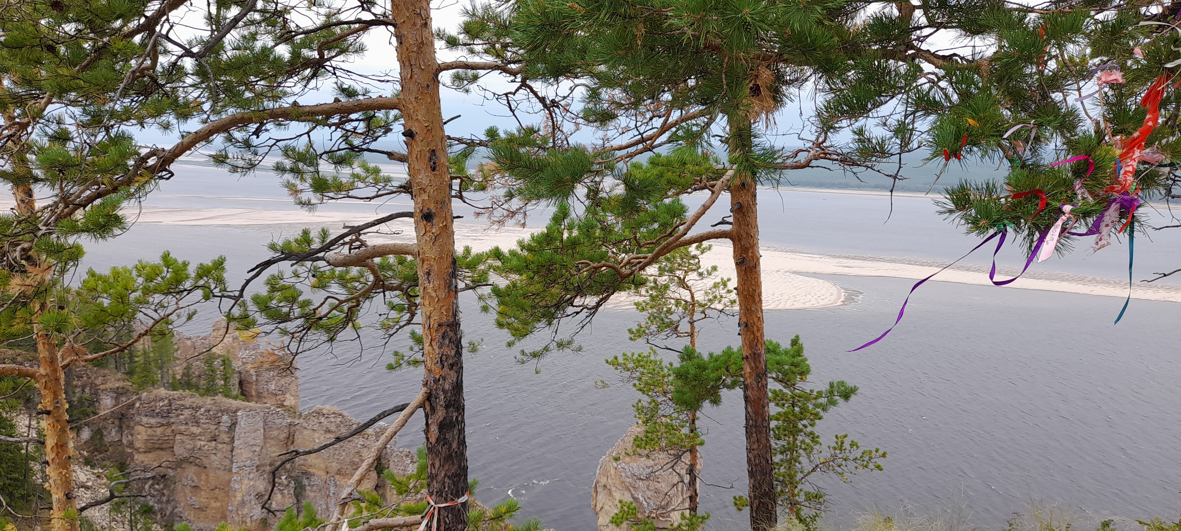 Фото Ленские столбы