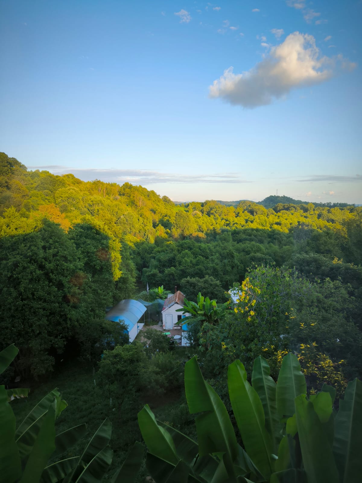 Фото Заповедник