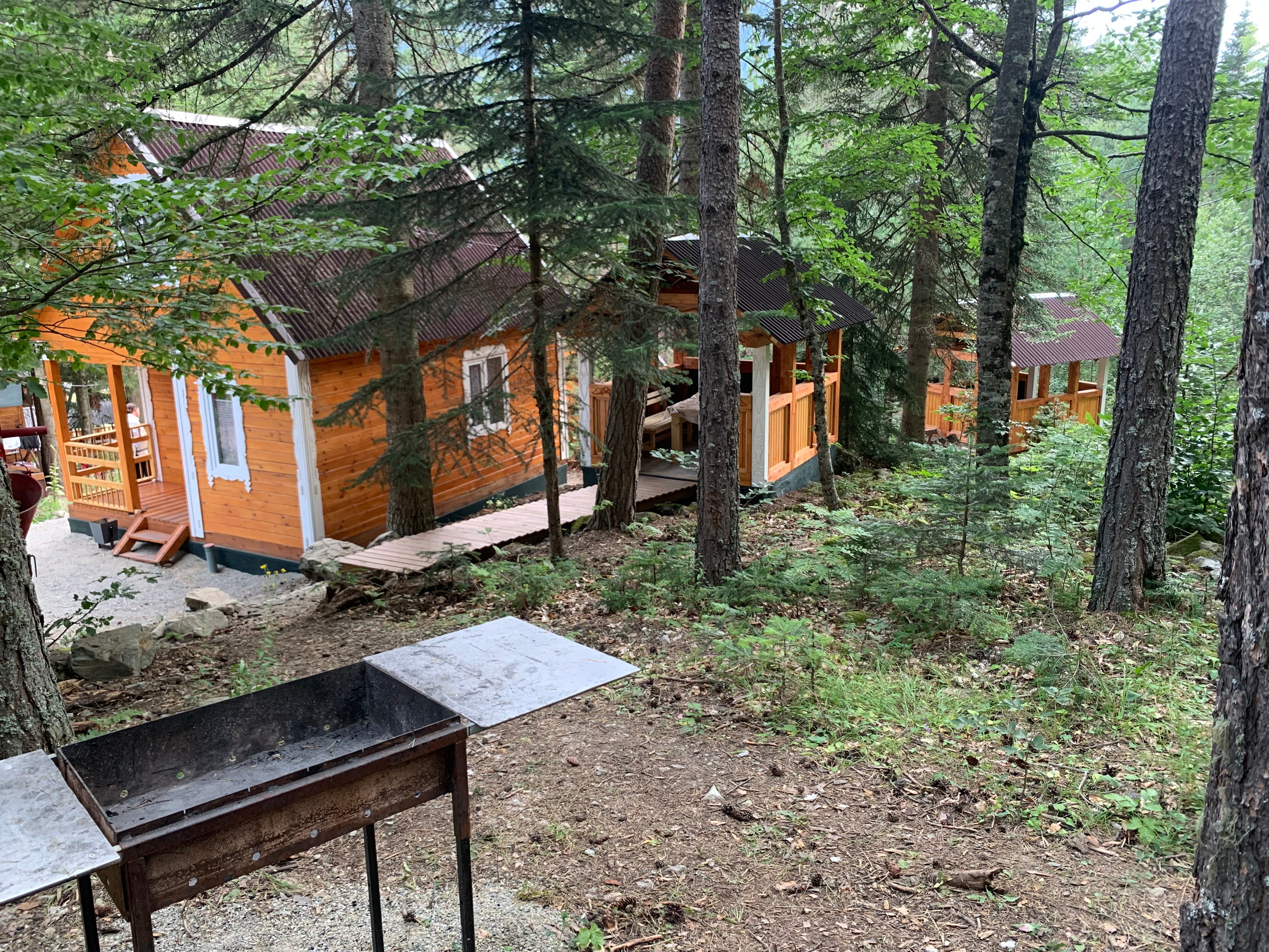 Фото Мухоморье