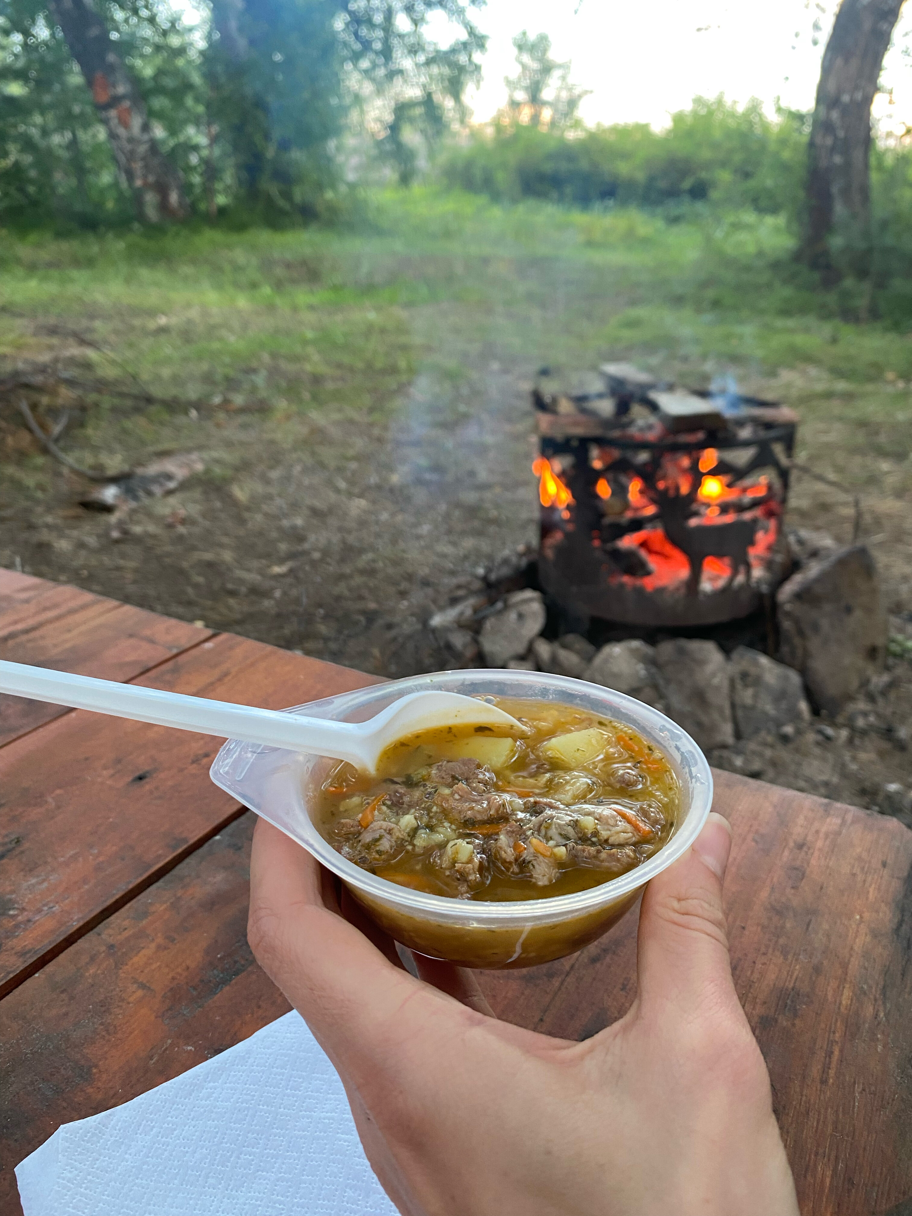 Фото Вогульский крокодил