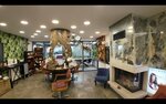 Danyishman Hairdresser (İstanbul, Besiktas, Akat Mah., Yıldırım Oğuz Göker Sok., 8), peluquería