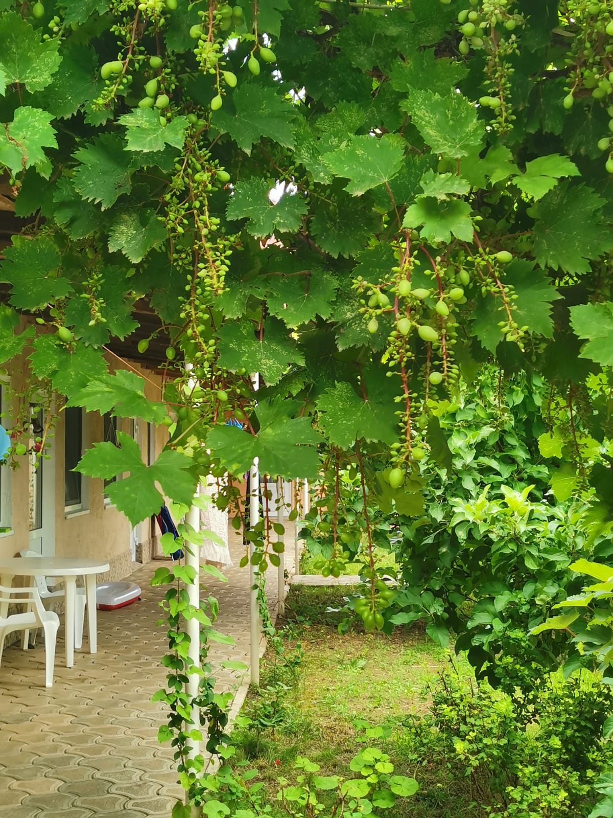 Фото Лонисера