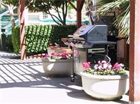 Фото Sonesta Es Suites San Francisco Airport San Bruno