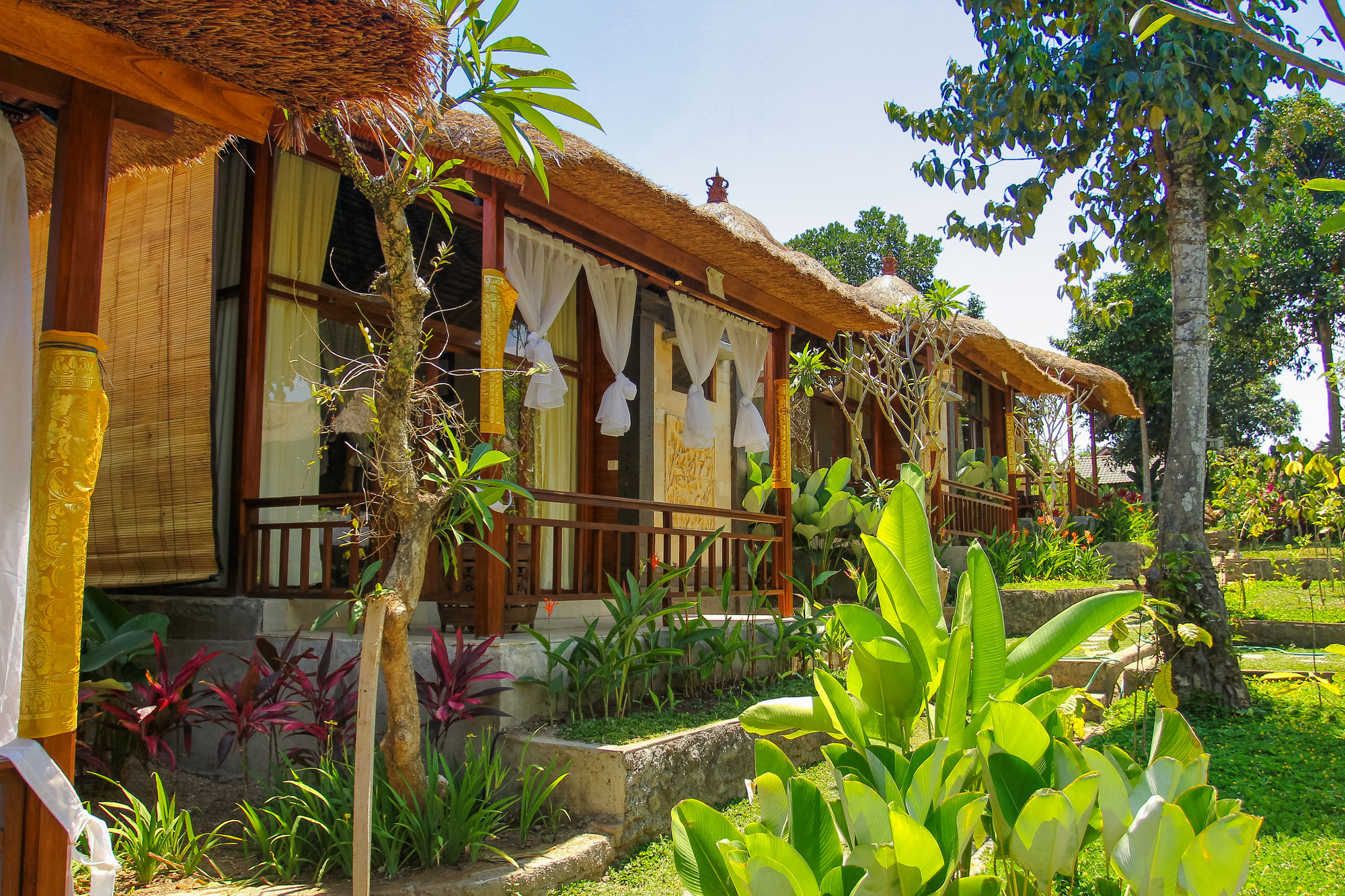 Фото Liyer House