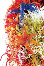 Фото Blackheath Lodge