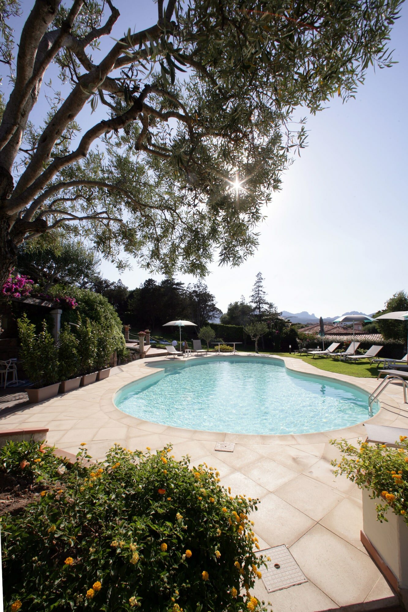 Фото Geco di Giada Exclusive Art Suites