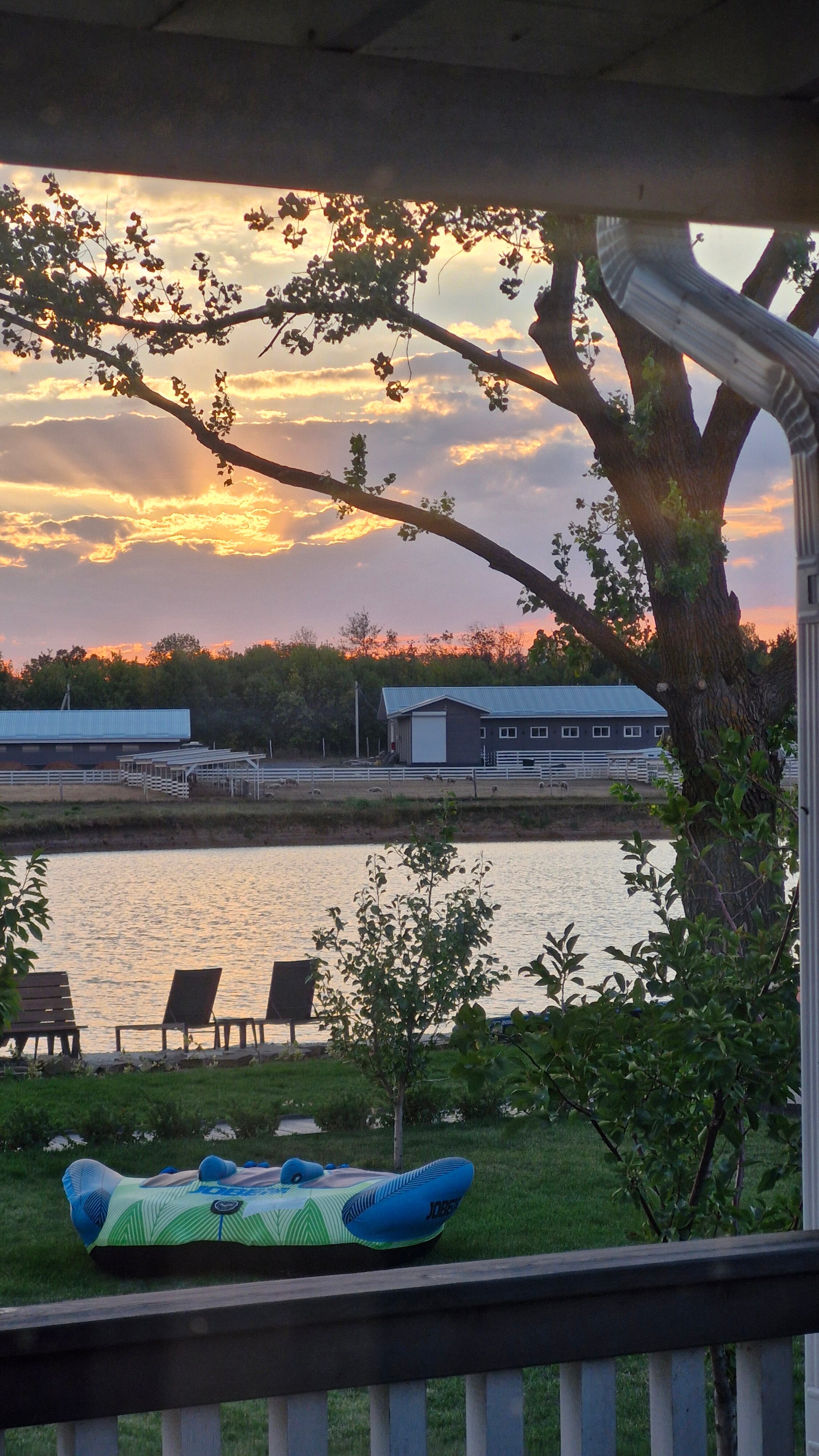 Фото Феникс