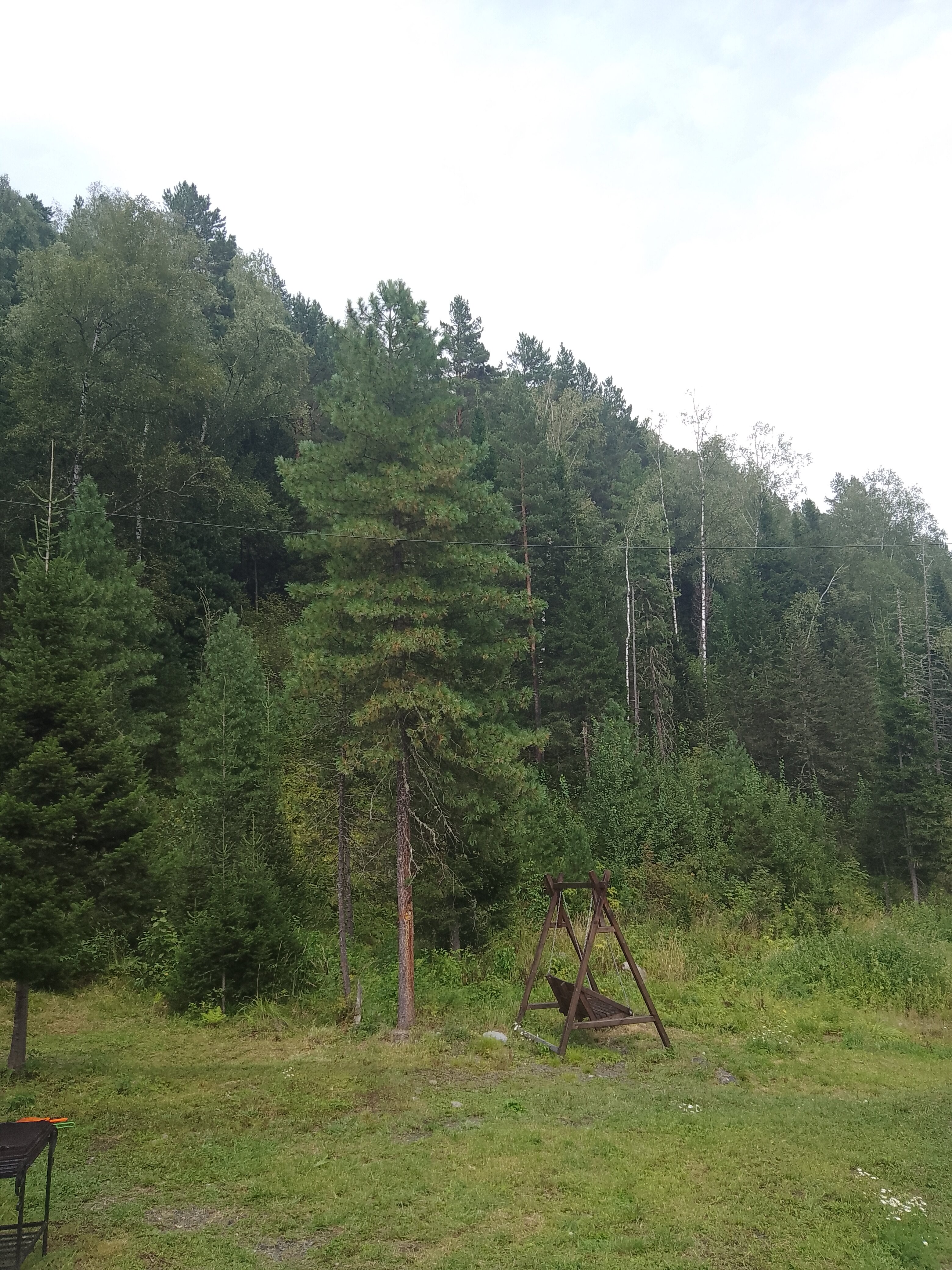 Фото Теле