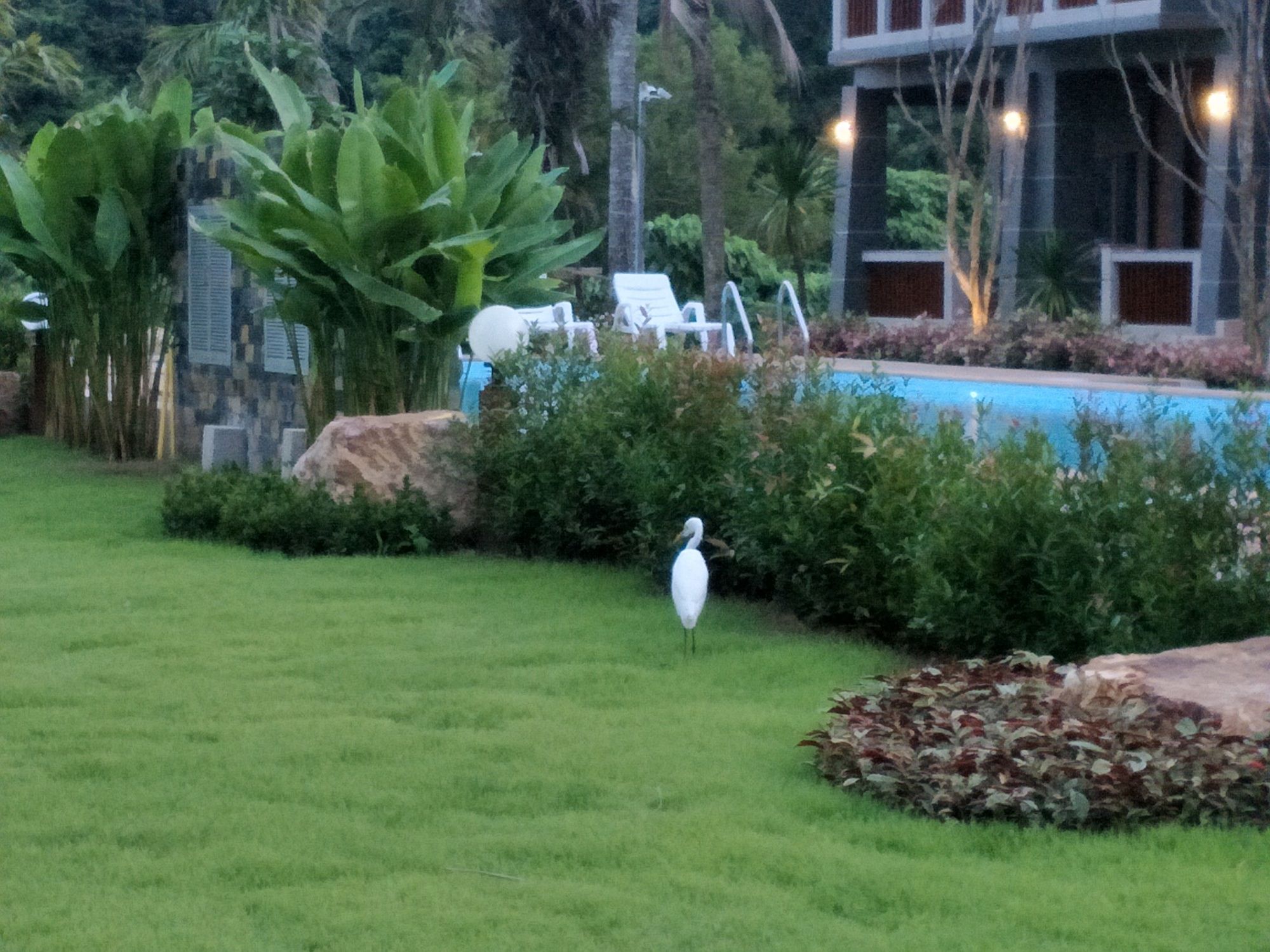 Фото Lanta Infinity Resort