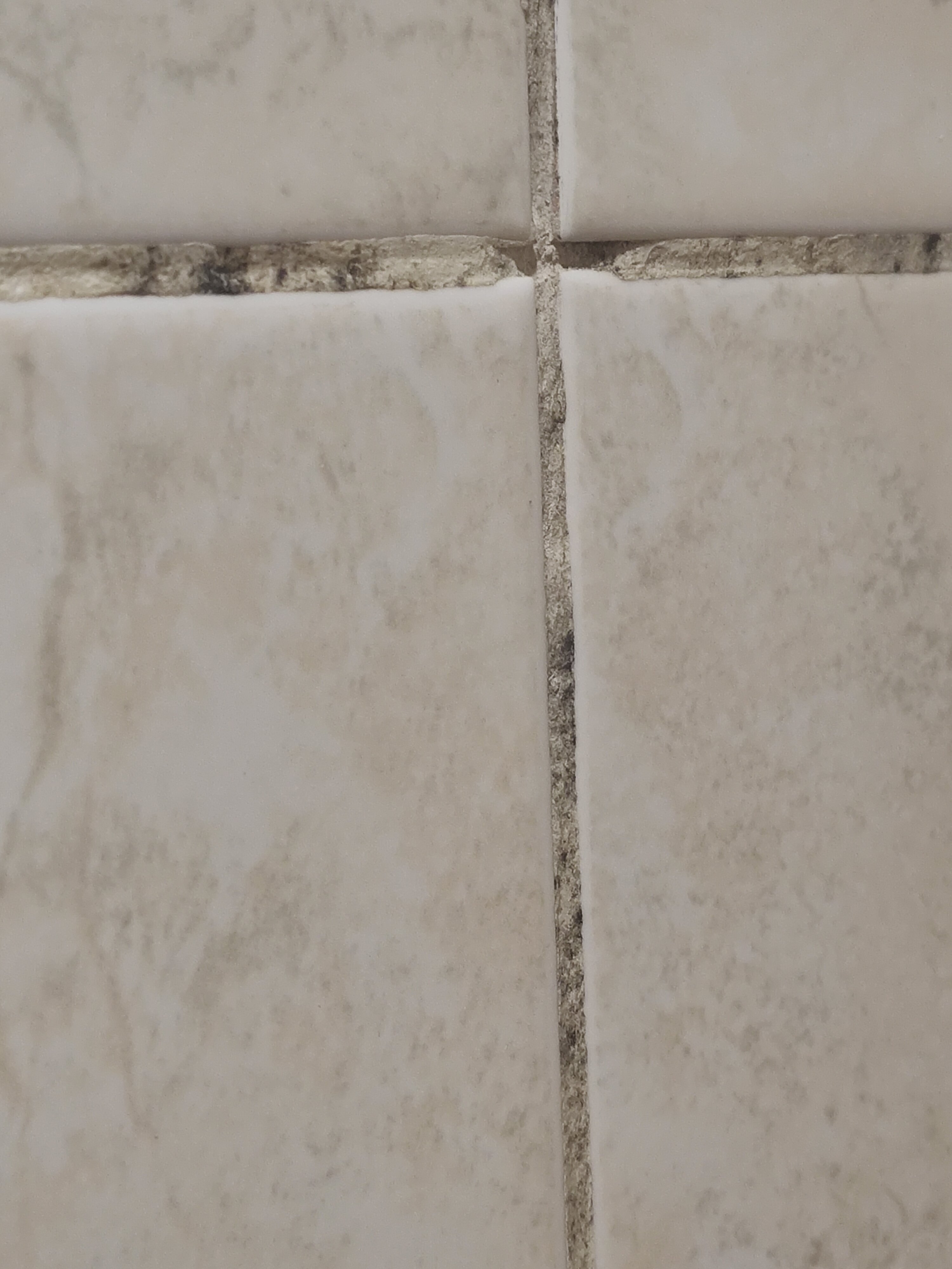 Фото Pan Tourist