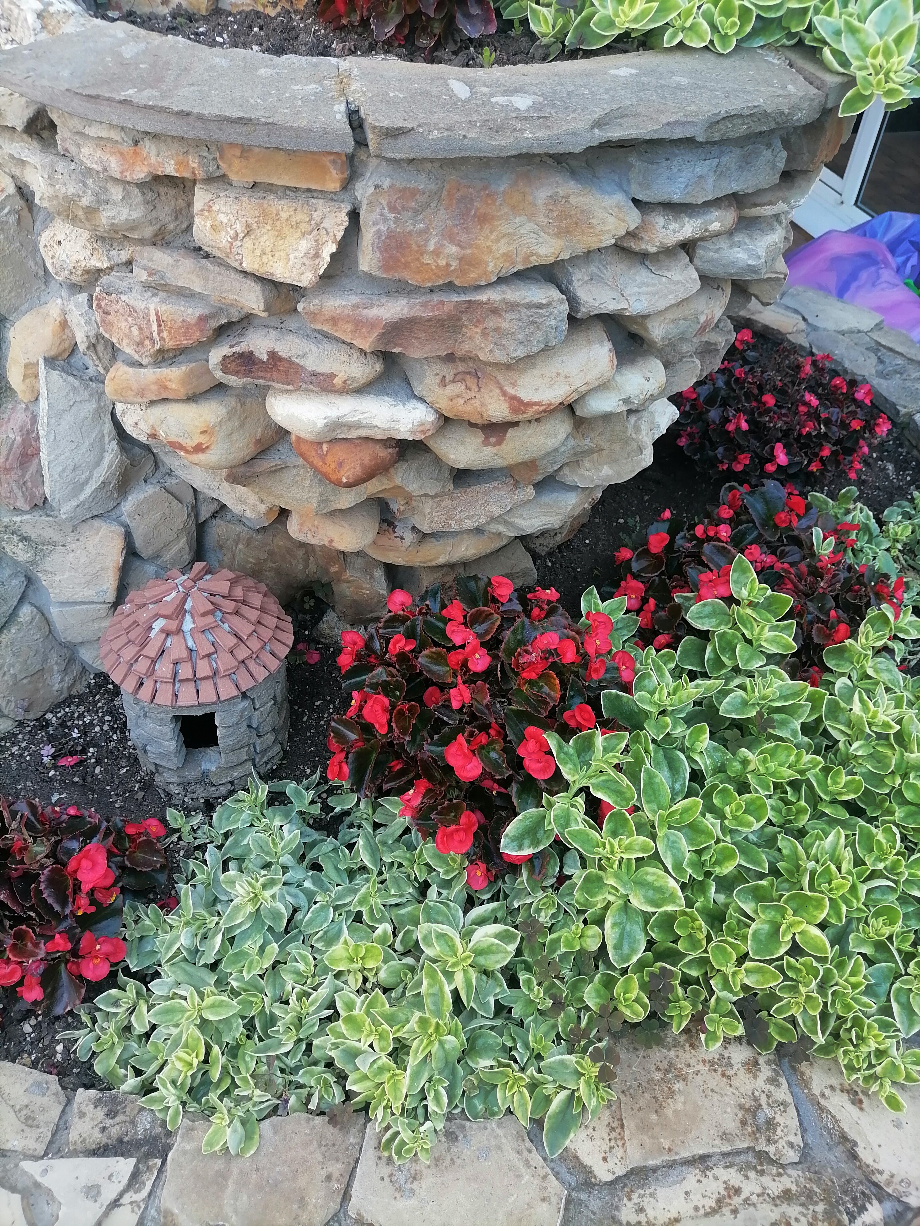 Фото Николь