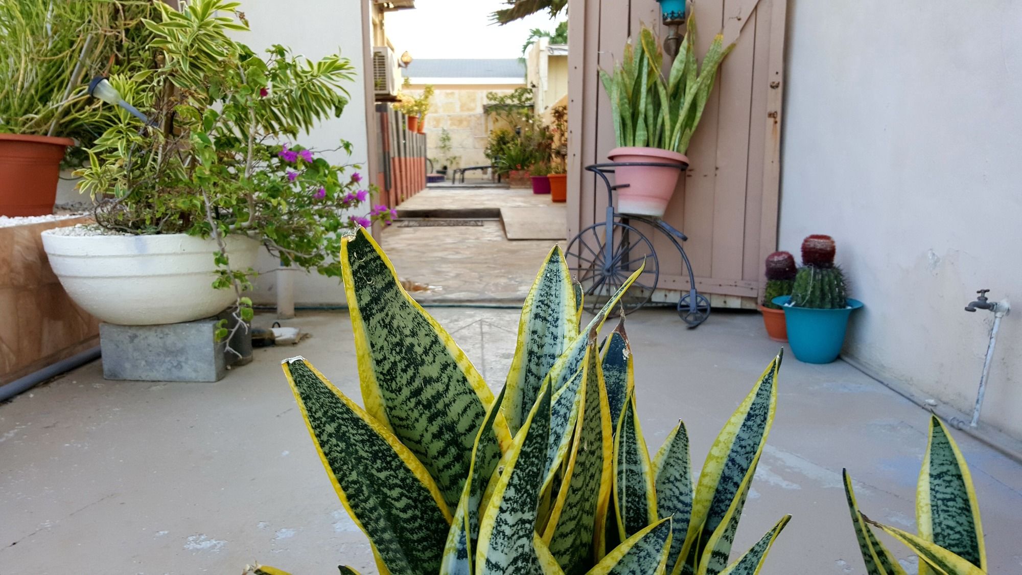 Фото Sleeps 16 Palm Beach - 6br Villa w Private Pool