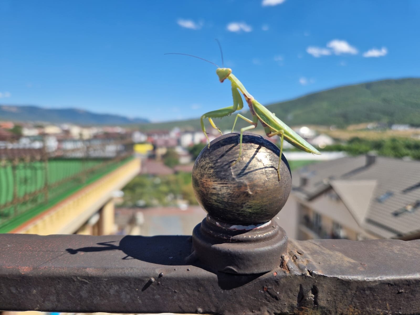 Фото Кастро