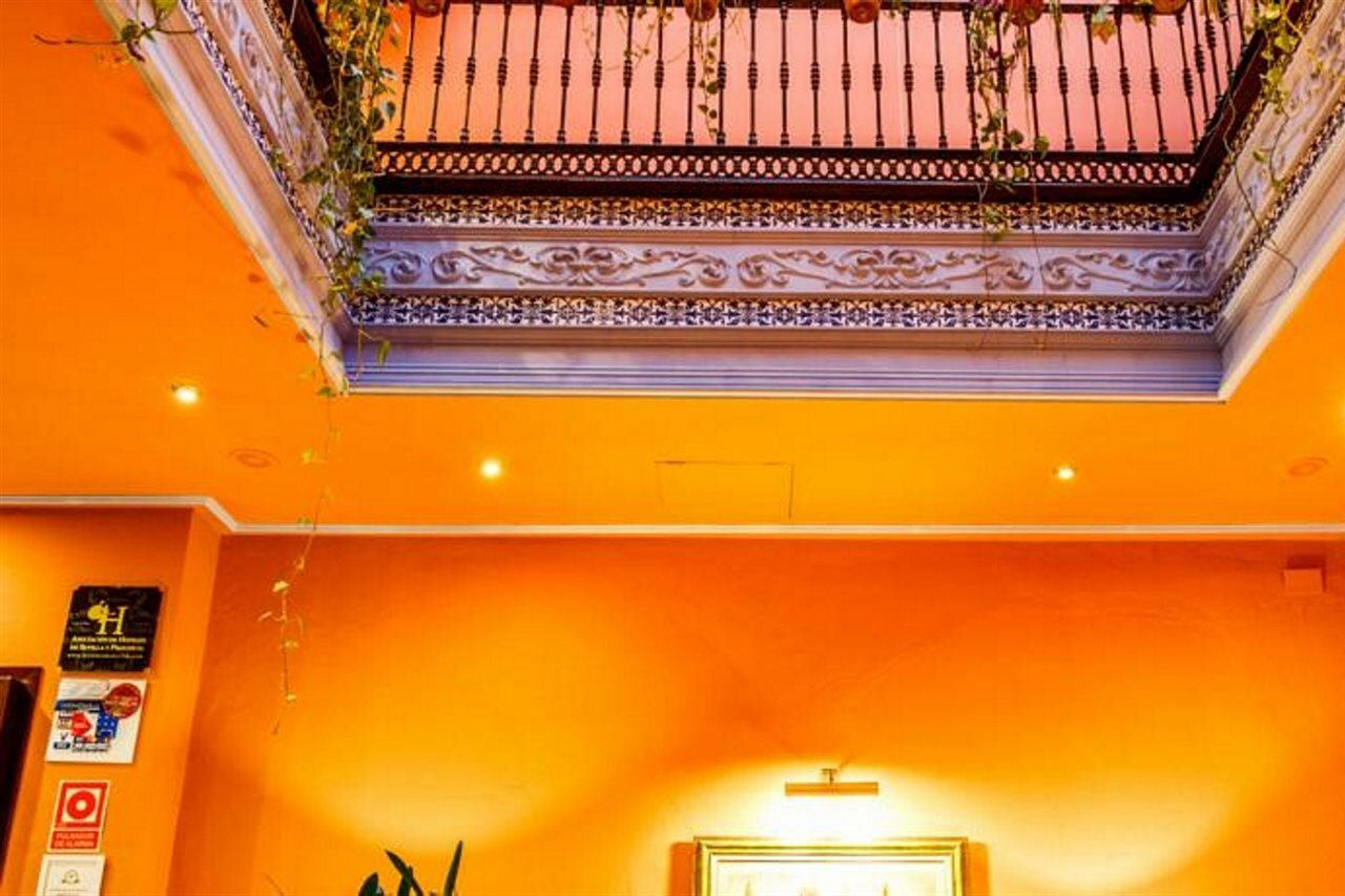 Фото 118666142972