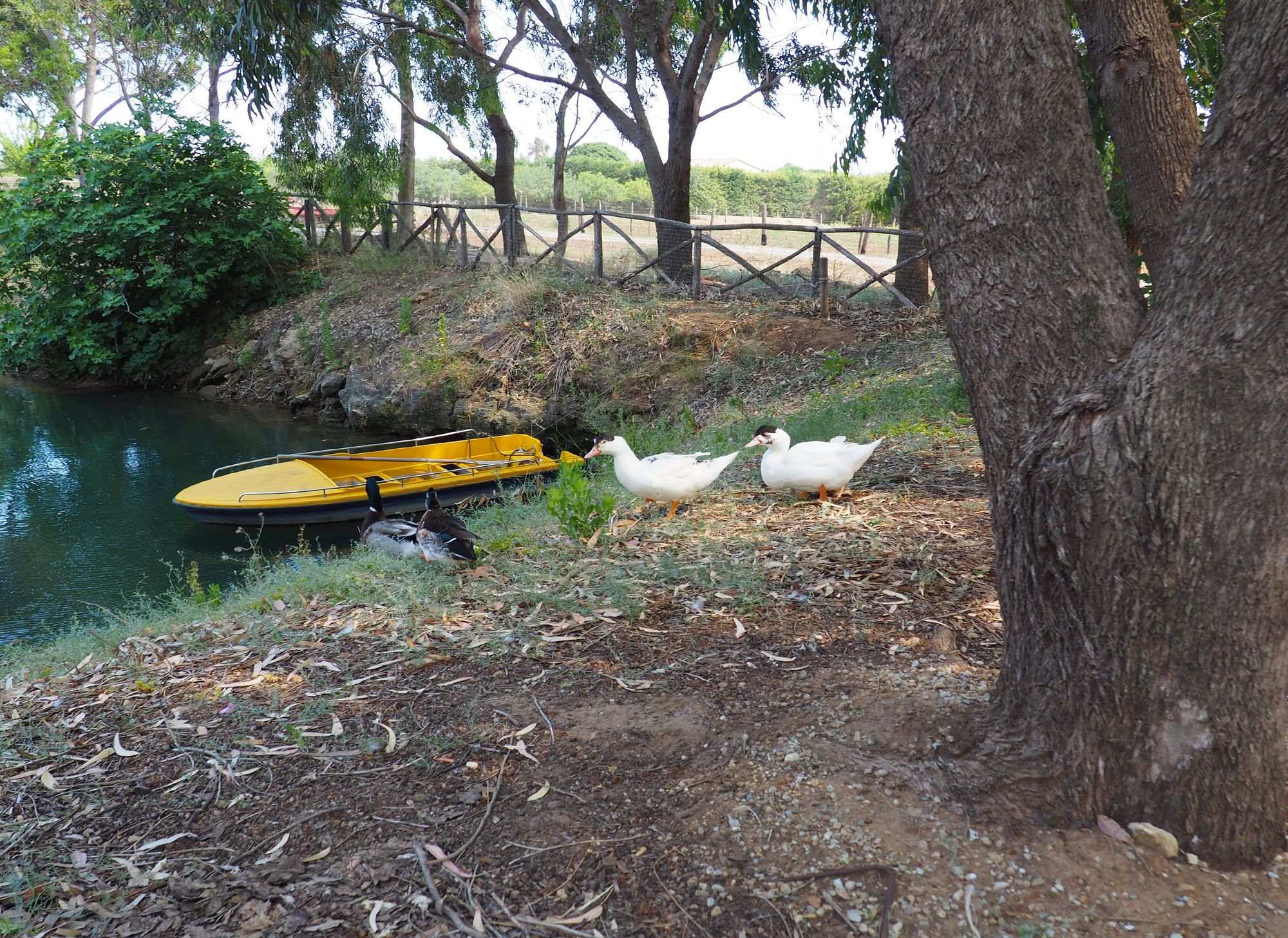 Фото Fattoria Il Borghetto