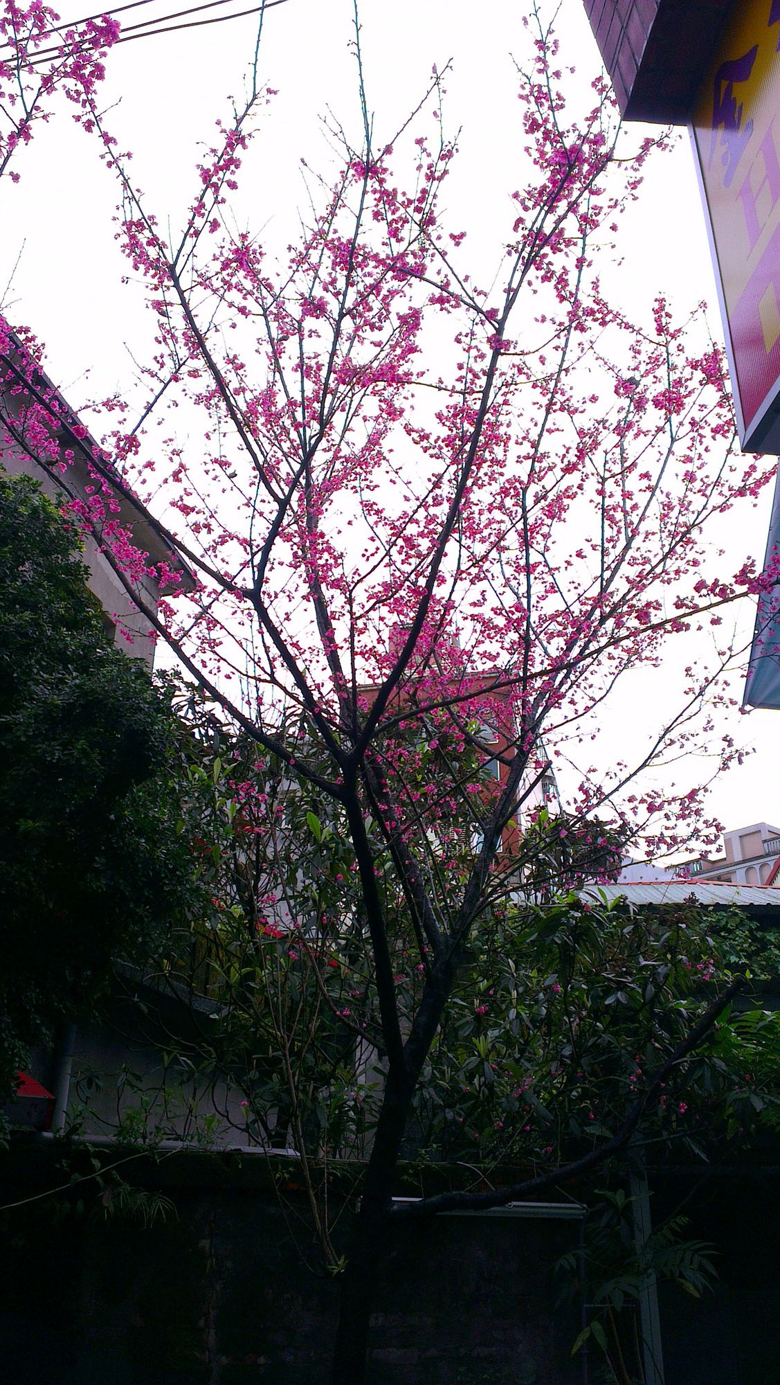 Фото King Town Hotel