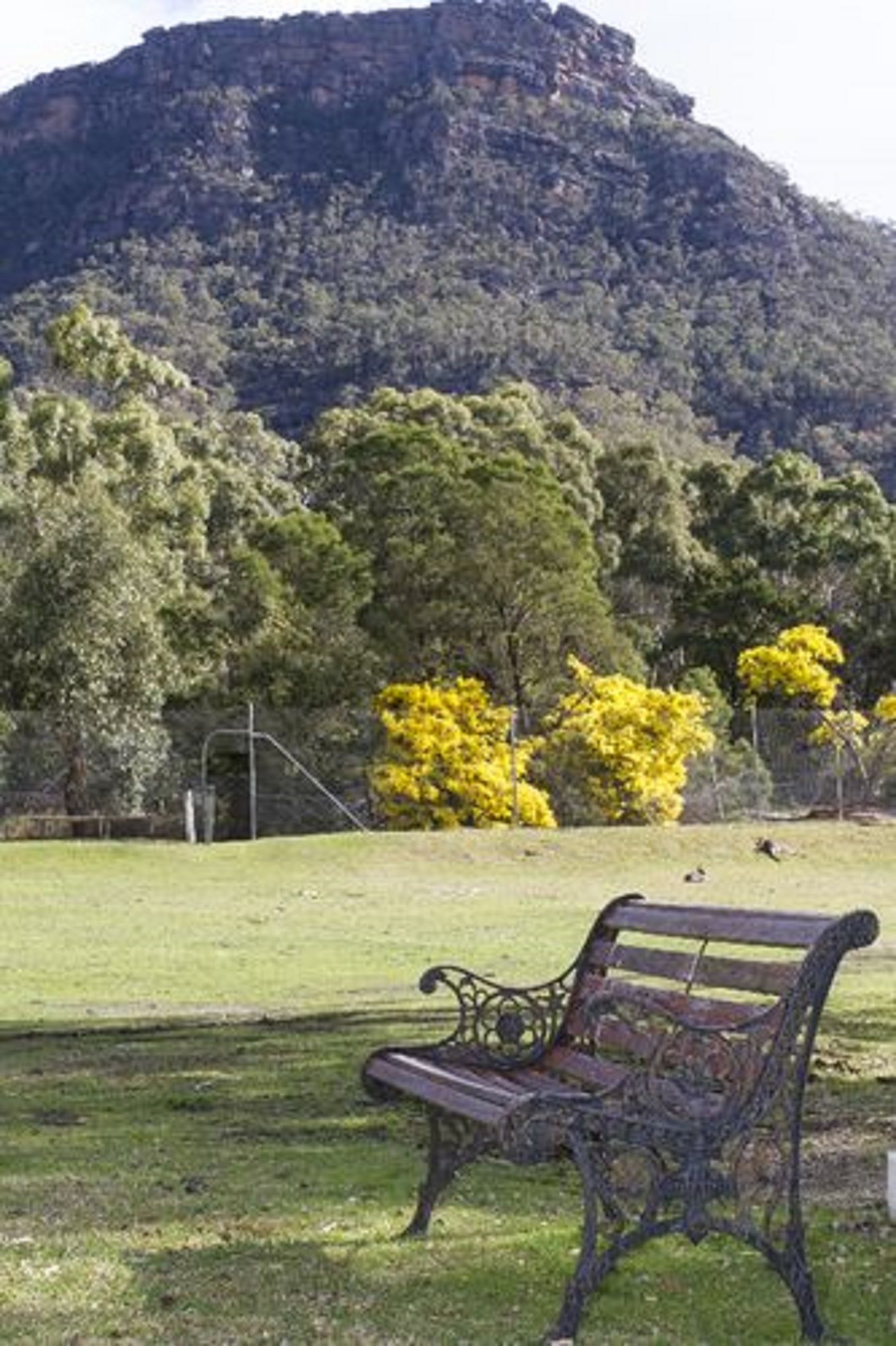 Фото The Grampians Motel & The Views Restaurant
