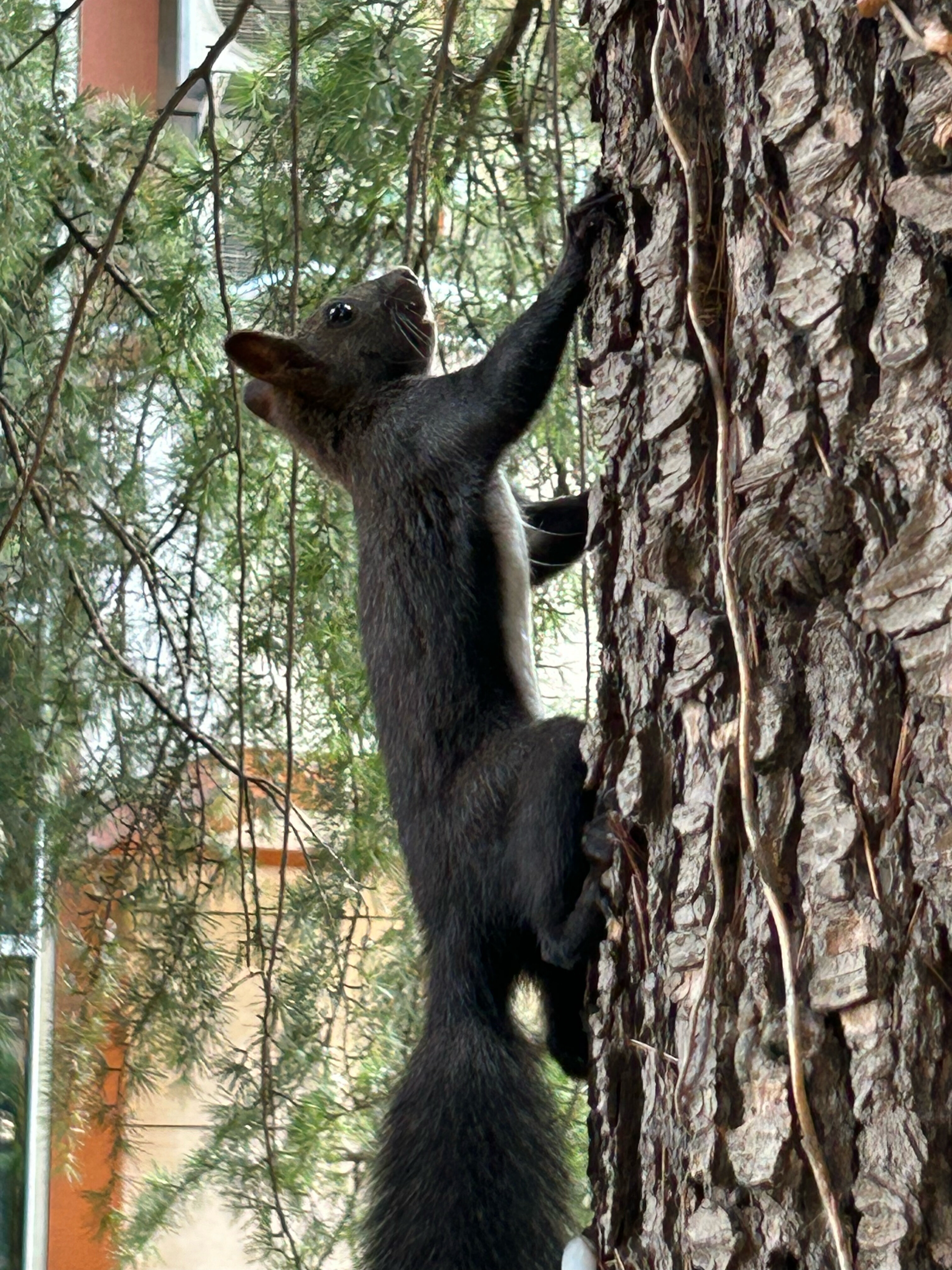 Фото У Оксаны