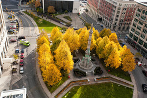 Гостиница Hilton Garden Inn Buffalo Downtown