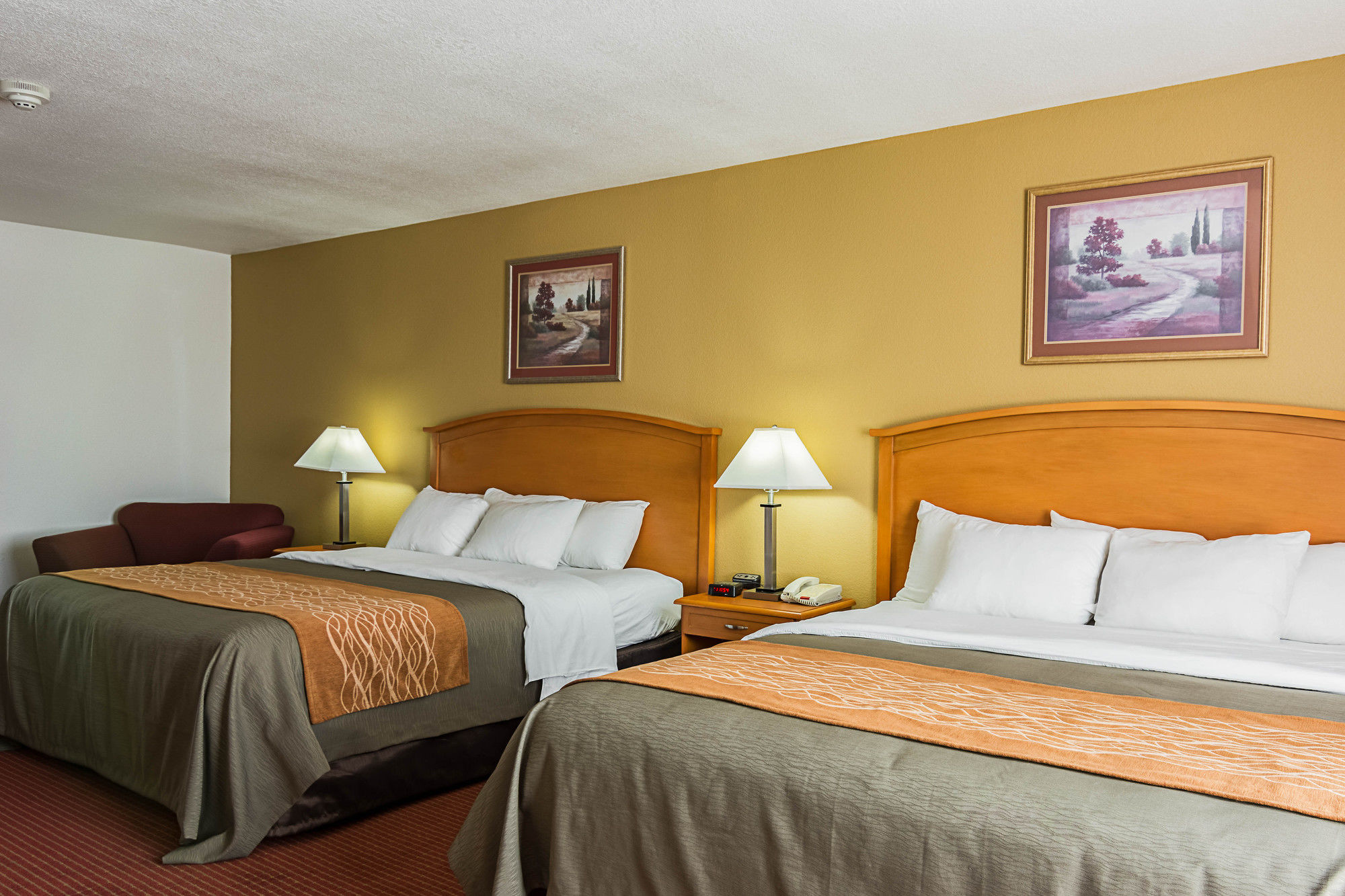 Фото Comfort Inn & Suites Chesapeake - Portsmouth