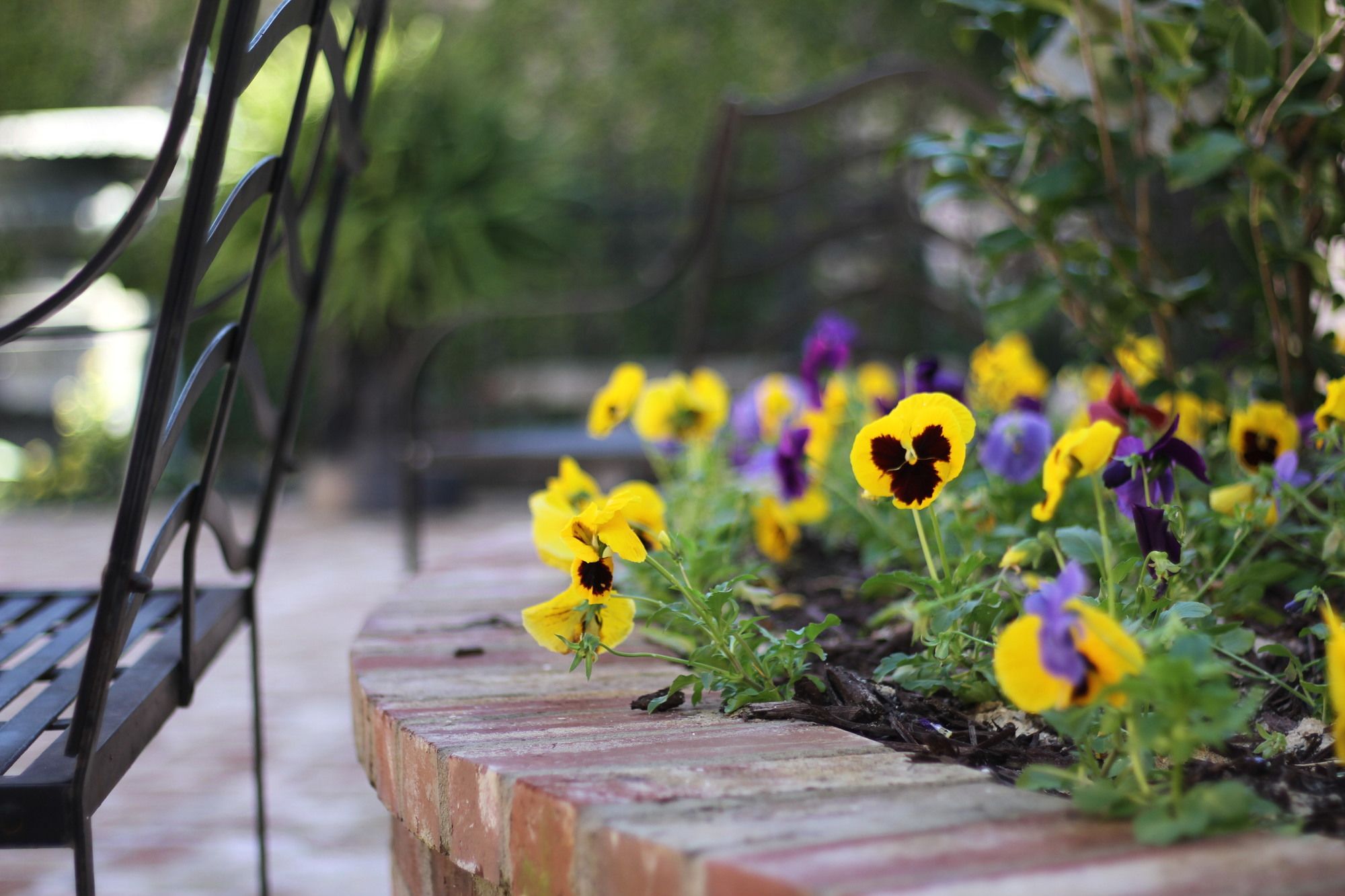 Фото Old Capitol Inn