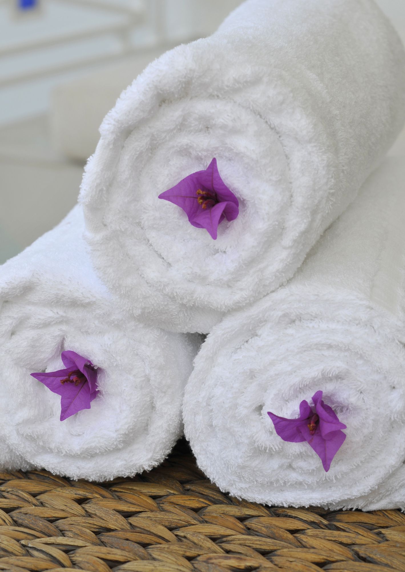 Фото Coco Ocean Resort & SPA