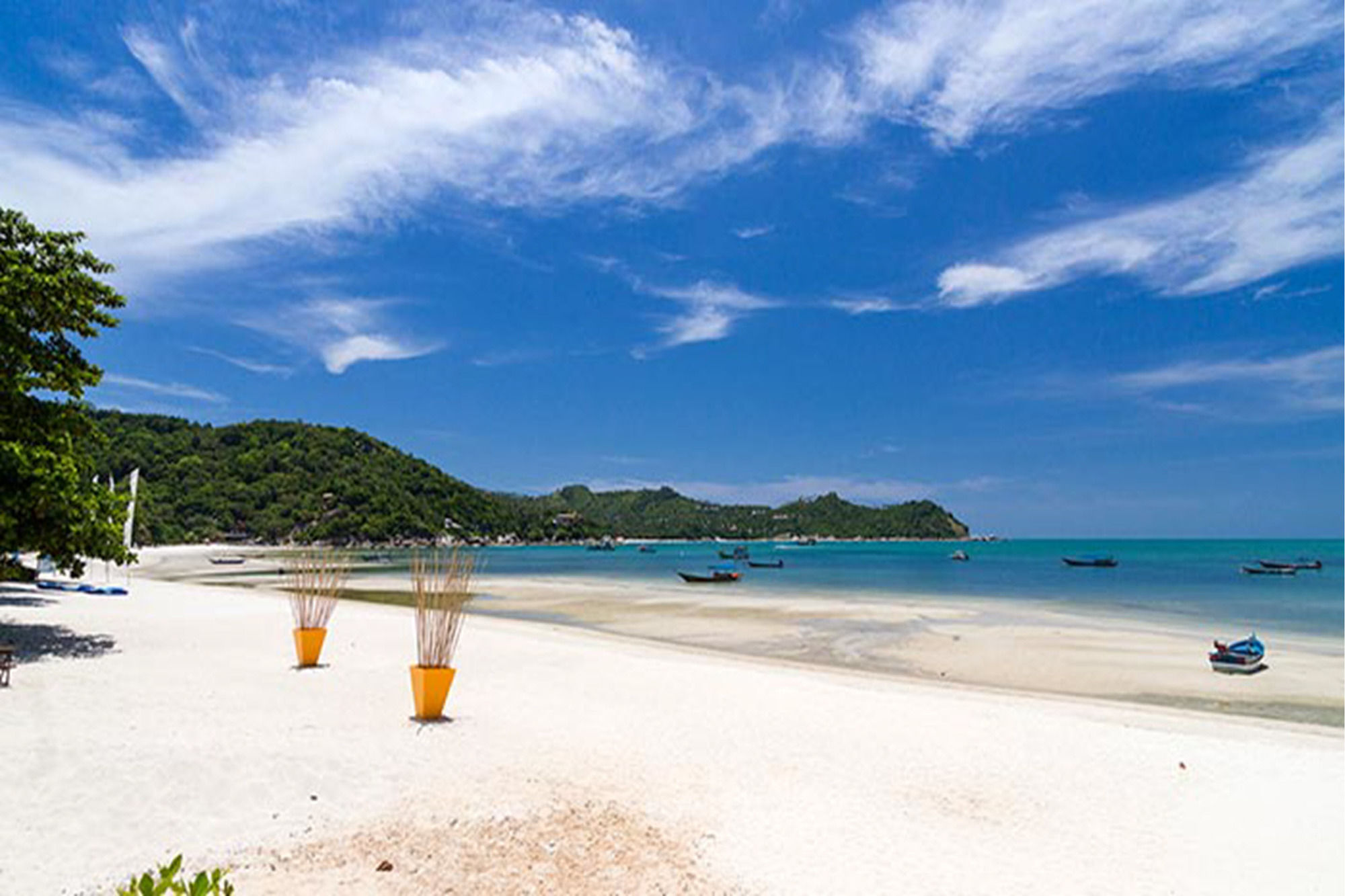 Фото Star Light Resort