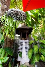 Фото The Pavilion Kuta