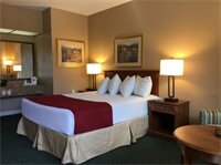 Фото Hotel Del Sol