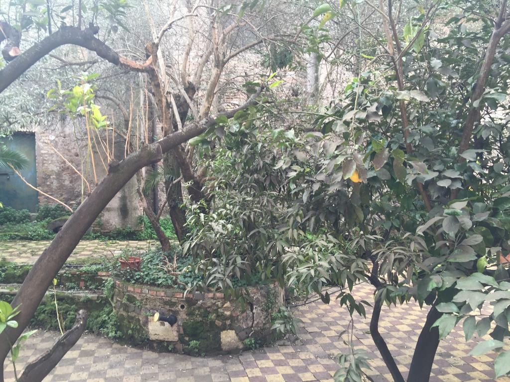 Фото Hotel Domus Aventina